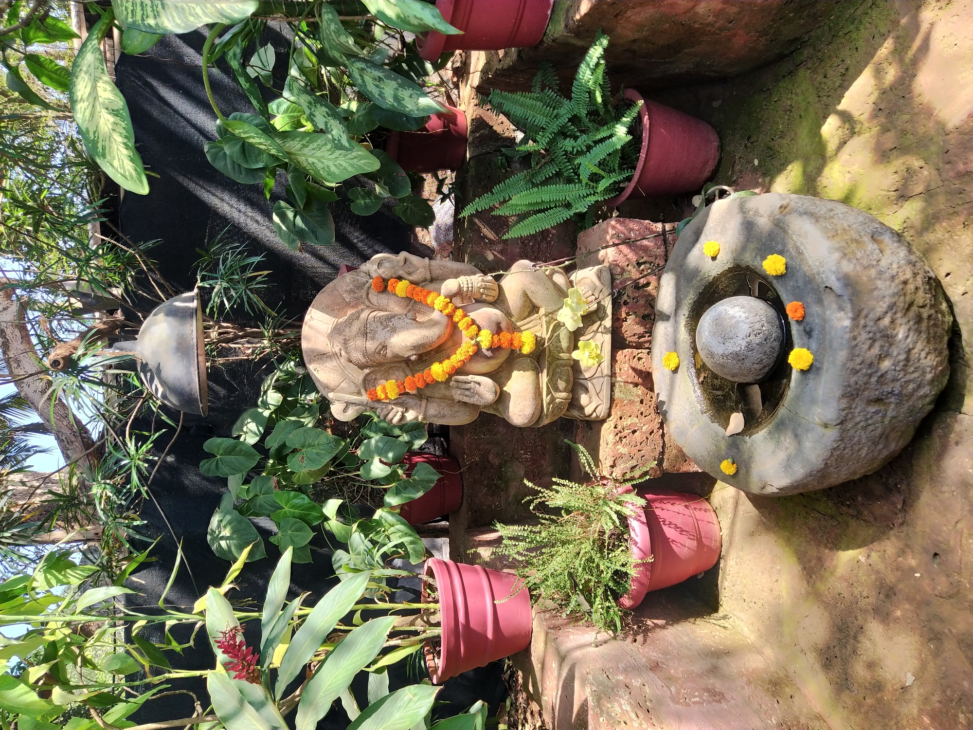 The scene is an outdoor garden shrine in Anjuna, India. A stone statue of Ganesha, adorned with a marigold garland, is positioned between potted plants including ferns and other greenery in red pots. To the right is a round stone lingam containing water and decorated with yellow and orange flowers. The background features black fabric or netting, with additional plants and tree branches visible above. The setting is bright, likely daytime, with shadows cast on the ground.