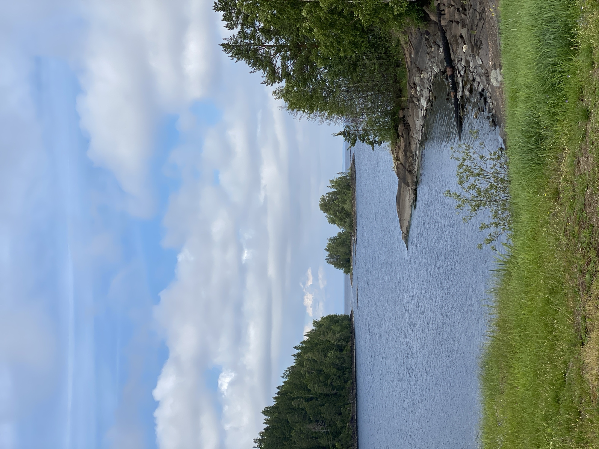 This is a landscape photograph taken on the island of Valaam in Russia. The scene depicts a serene body of water, likely a lake, with several small, tree-covered islands scattered across its surface. On the left side of the image, a densely forested peninsula juts out into the water, with its trees reaching towards a sky filled with scattered clouds. The right side of the frame features a rocky shoreline with more trees, some of which are tall pines. In the foreground, a grassy embankment slopes down towards the water, with some wildflowers visible among the blades of grass. The overall impression is one of natural beauty and tranquility. There are no people or animals visible in the image.
