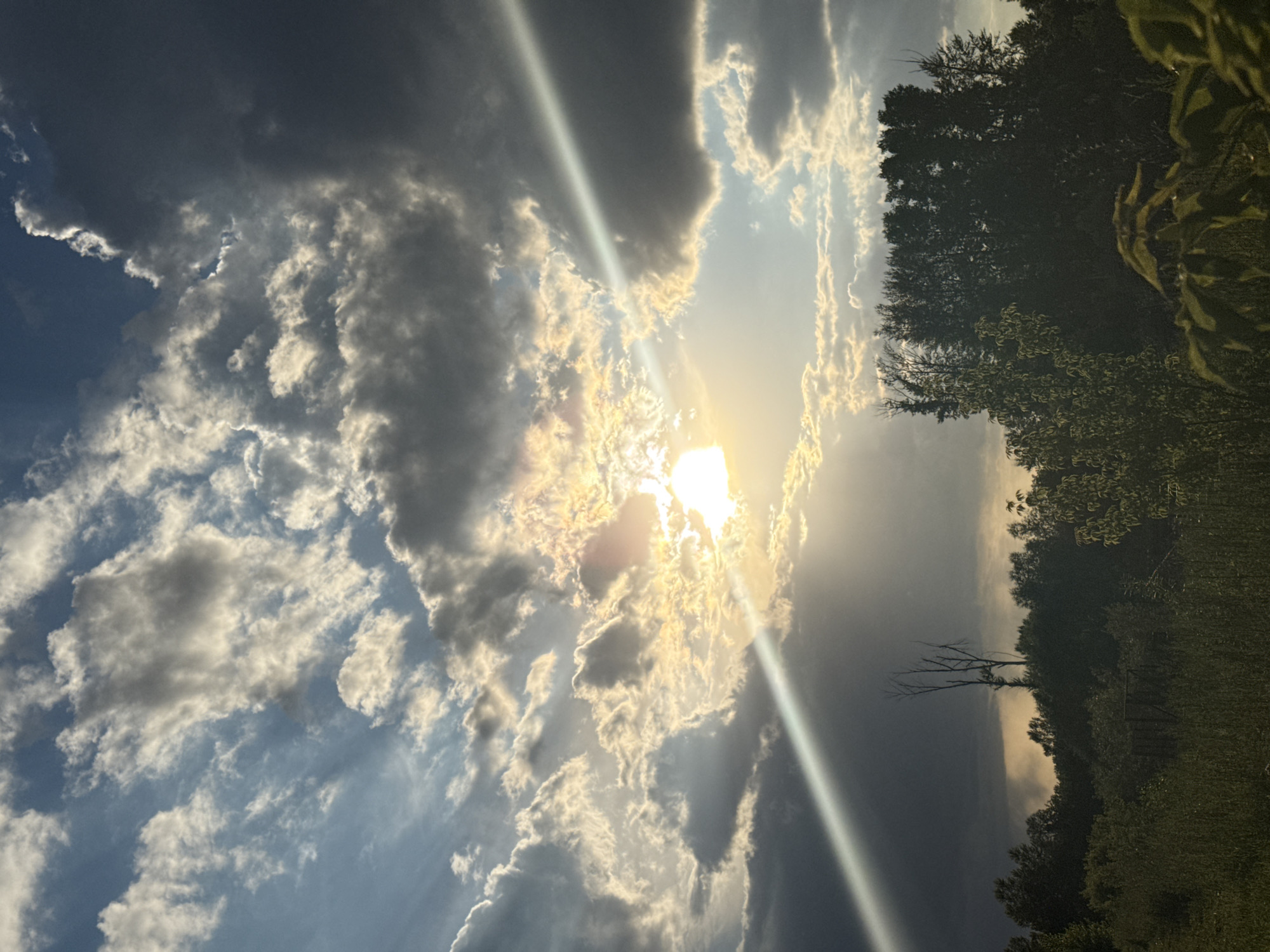 This is a vertical, landscape photograph of a sky filled with dramatic clouds and the sun. The sun is a bright, almost blown-out source of light, casting a warm yellow glow and creating visible light rays that pierce through the clouds. The clouds are a mix of dark gray and bright white, with some appearing wispy and others more dense and ominous. The sunlight is illuminating the edges of the clouds, giving them a radiant, almost ethereal quality.
On the right side of the frame, the scene transitions to a dark silhouette of trees and foliage. The trees are densely packed, with some appearing taller and more defined than others. The foreground shows a grassy field, also appearing dark due to the backlighting and the time of day. There's a hint of a bare, skeletal tree in the middle ground, standing out against the lighter sky. A small, wooden structure, possibly a fence post or a small gate, is visible within the vegetation on the right.
The overall mood of the image is somewhat dramatic and awe-inspiring, likely captured during either sunrise or sunset due to the low angle of the sun and the intense light. The interplay of light and shadow, the vastness of the sky, and the silhouetted landscape create a sense of natural beauty and perhaps a touch of mystery. No people or text are visible in the image.
