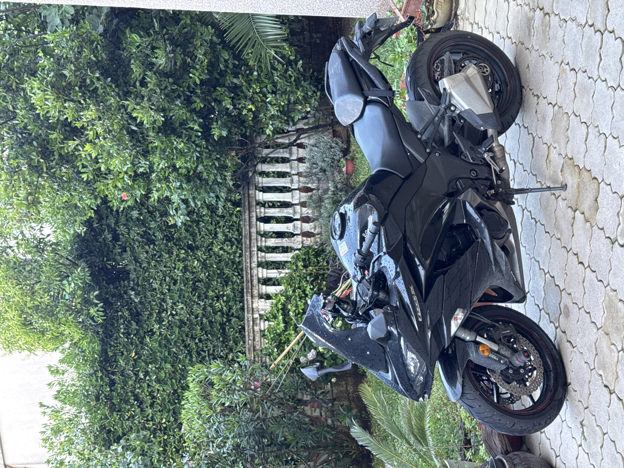 A black Kawasaki ZX-6R sports motorcycle is parked outdoors on a paved surface, appearing wet with visible water droplets on its bodywork. The motorcycle is black with red accents on the wheels (rim tape) and features a silver exhaust system.
The setting is a lush garden or patio area, rich with dense green foliage from various trees and bushes, including palm fronds. A white concrete balustrade or fence is visible in the background, separating the paved area from additional greenery. The ground is covered with grey interlocking pavers.
Notable details include a small red flower nestled within the foliage in the upper left and a bamboo stick resting against the greenery near the front of the motorcycle. The text "ZX-6R" is clearly visible on the motorcycle's side fairing, and "Kawasaki" can be read on the front brake caliper. The motorcycle is stationary, supported by its kickstand. The scene is lit by natural daylight, suggesting an overcast day or shaded location, and the wet appearance of the bike indicates recent rain or a wash. The verdant surroundings and architectural style are consistent with a Mediterranean climate and location like Budva, Montenegro.