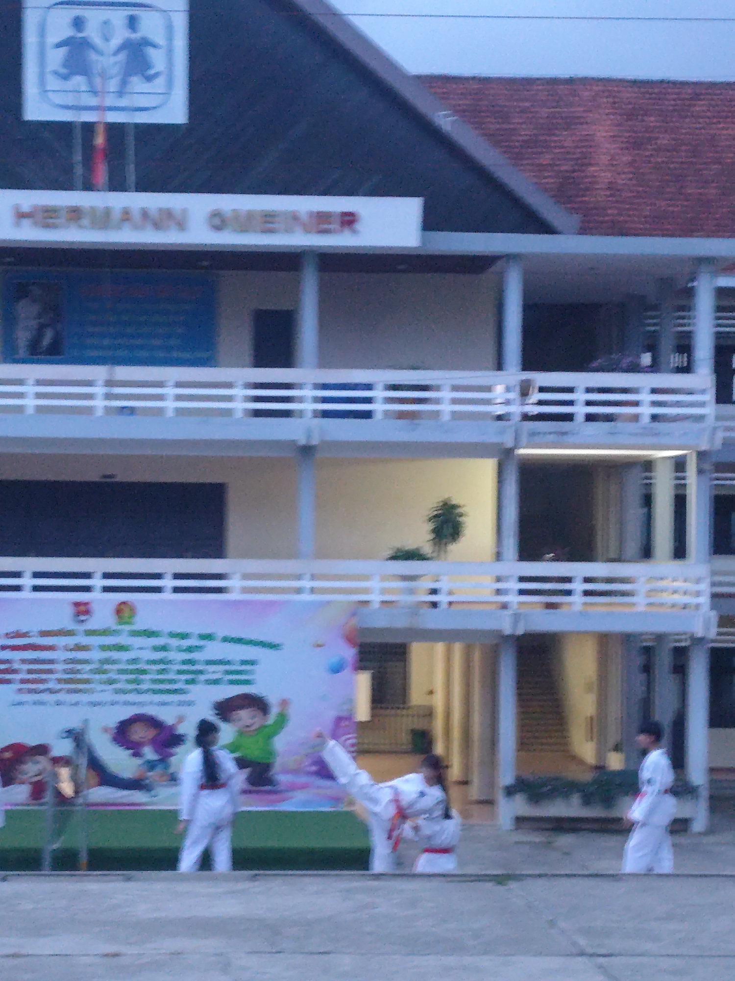 The image depicts a school building with multiple levels of balconies and windows. A sign above the ground floor reads "HERMANN GMEINER." On the ground floor, a banner is displayed with colorful cartoon characters, and several people in white karate uniforms are practicing. One individual is in mid-kick, while others stand or observe. The environment appears to be an outdoor courtyard or plaza in front of the school. The presence of the "HERMANN GMEINER" sign suggests this is likely a part of an SOS Children's Village or a similar institution, often associated with Hermann Gmeiner, the founder. The city of Lâm Viên - Đà Lạt, Vietnam is known for its educational institutions and is a plausible location for such a facility.