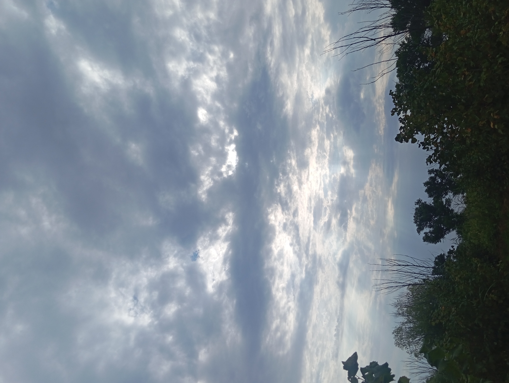 The image shows a cloudy sky over a treeline. The clouds are dense and appear to be dark gray with some lighter patches where the sun is breaking through. The sky takes up the majority of the frame. Below the sky is a dark green treeline, with some bare branches of trees visible amongst the foliage. The image appears to be taken from a low angle, looking upwards. No people are visible in the image. The environment suggests a natural setting, possibly a rural or undeveloped area. The location of Şirvanlı, Azerbaijan is not explicitly depicted or suggested by any visual elements in the image.