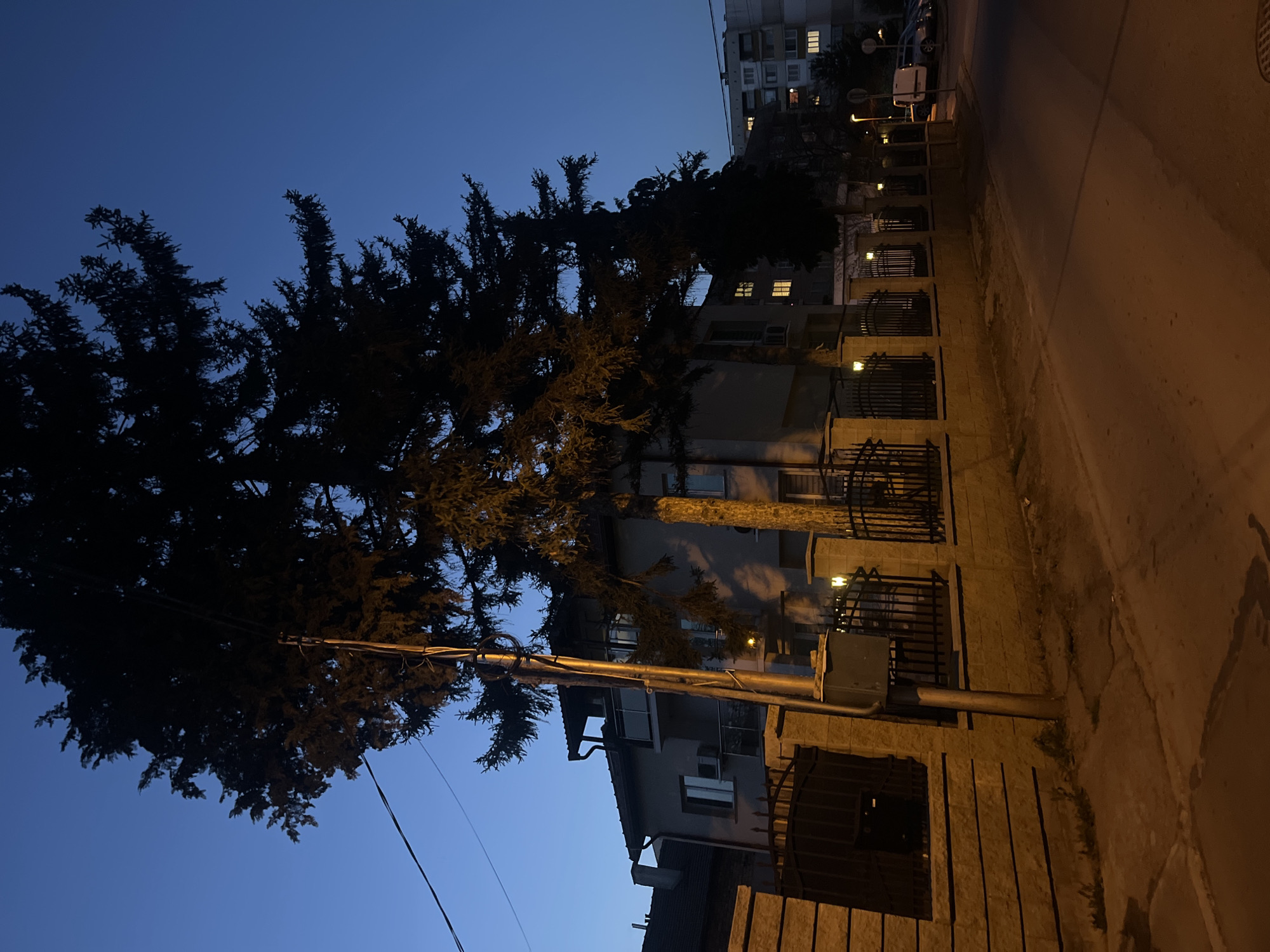 An exterior shot captured at twilight, possibly in Sofia, Bulgaria. A tall, dark conifer tree dominates the left side of the frame, obscuring the sky. To the right, a multi-story building with illuminated windows is visible. A wall, punctuated with dark iron railings, runs along the side of the street, lit by small lights. The street itself is empty. There are utility poles and wires that partially obscure the tree.