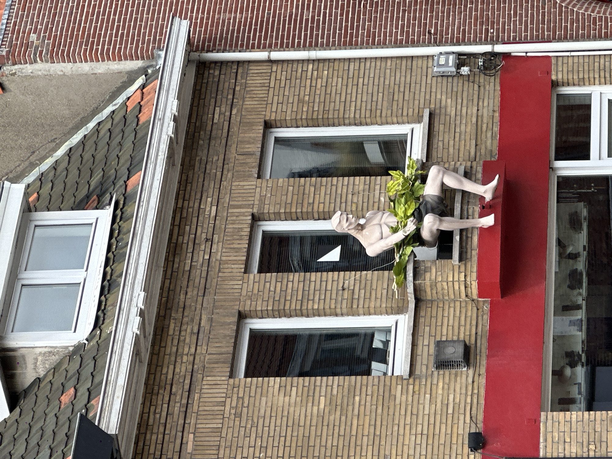 The image shows a statue of a man sitting on a ledge on the side of a brick building in Bruges, Belgium. The statue is holding a large bunch of green leaves. The building has several windows and a red awning. The statue appears to be life-sized and is depicted in a realistic style. The background shows more of the brick building and a tiled roof.