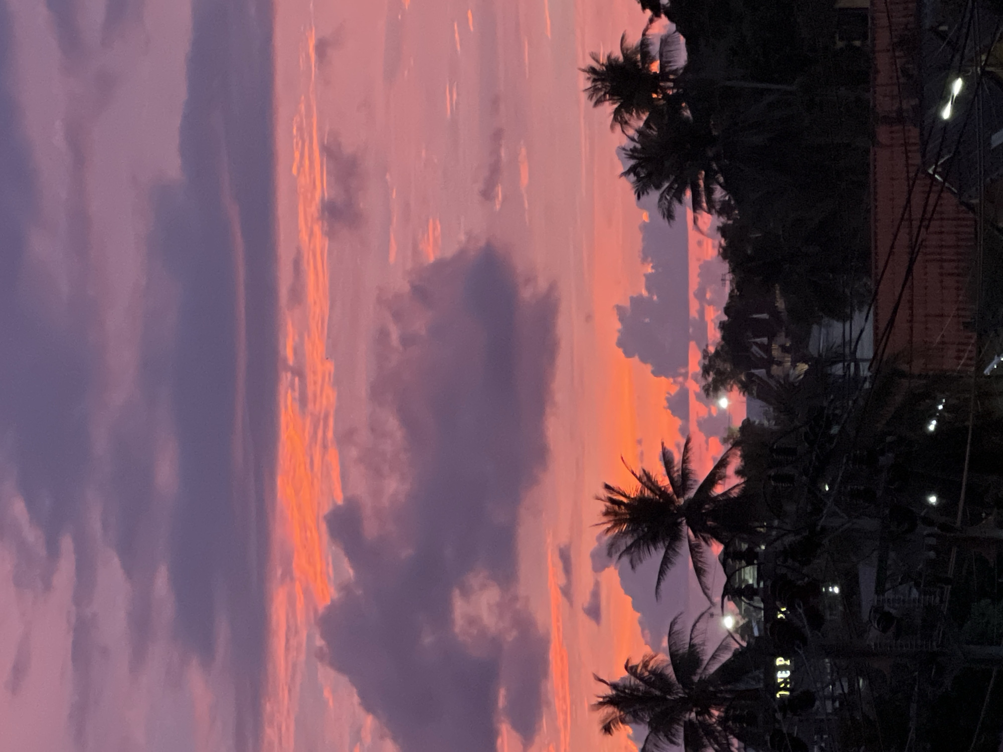 A vibrant sunset paints the sky with hues of pink, orange, and purple, casting a warm glow over a tropical landscape. Silhouetted palm trees stand tall against the colorful backdrop, their fronds swaying gently in the breeze. In the foreground, a tangle of power lines and a dimly lit building suggest a residential area. The scene captures the beauty of nature juxtaposed with the signs of human habitation, creating a sense of peaceful transition from day to night.