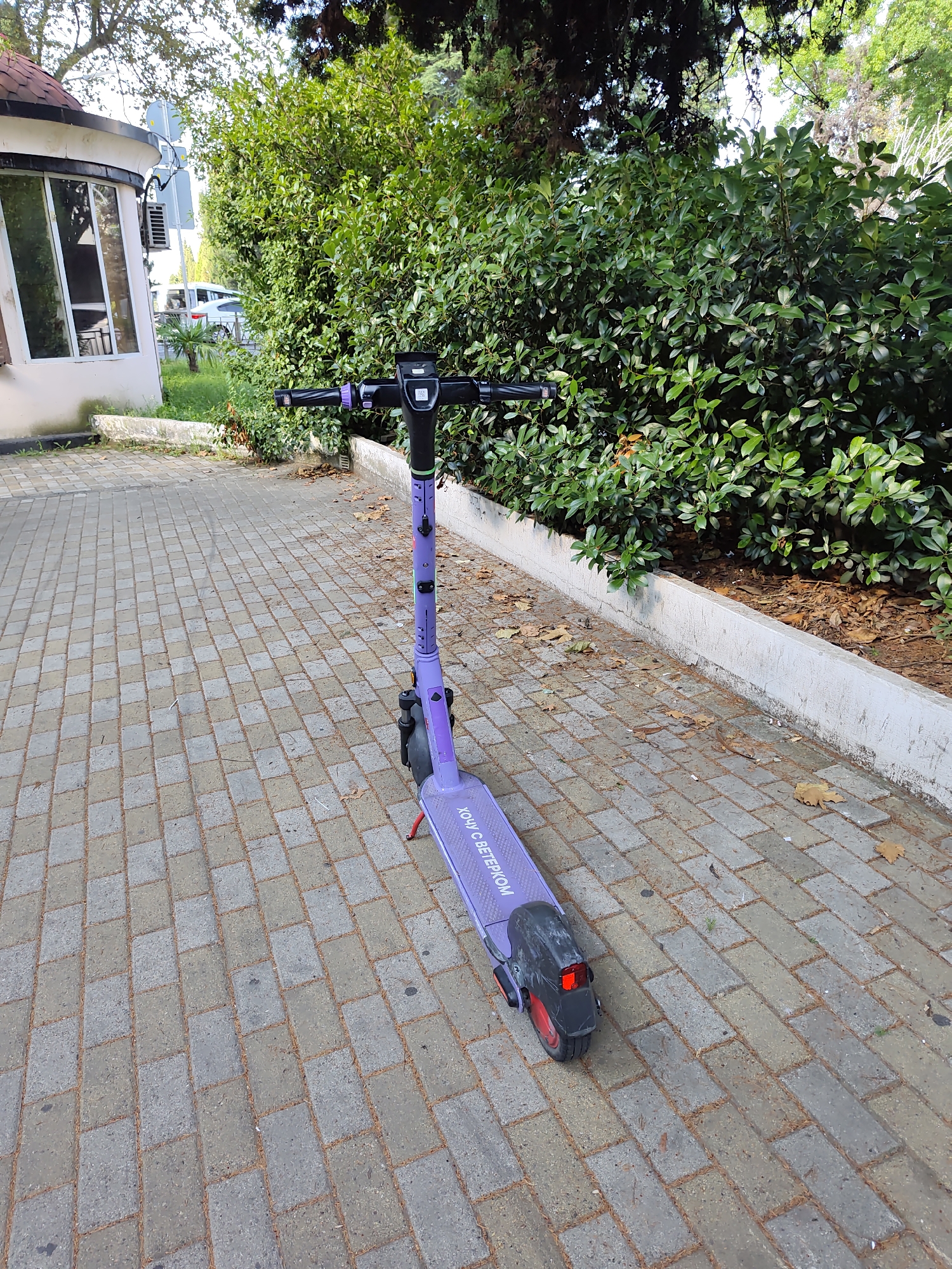 An electric scooter is parked on a paved walkway next to a white concrete planter filled with green shrubs. The scooter is purple with black handlebars and a black rear fender with a red taillight. The walkway is made of rectangular, grey and beige paving stones. Behind the planter, a dense line of green trees and foliage forms a natural barrier. To the left of the walkway, a light-colored building with large windows and a rounded, tiled roof is visible. A white car is parked in the background, beyond the building. The scene appears to be outdoors, in a park-like setting within the city of Sochi, Russia. The lighting suggests it is daytime.