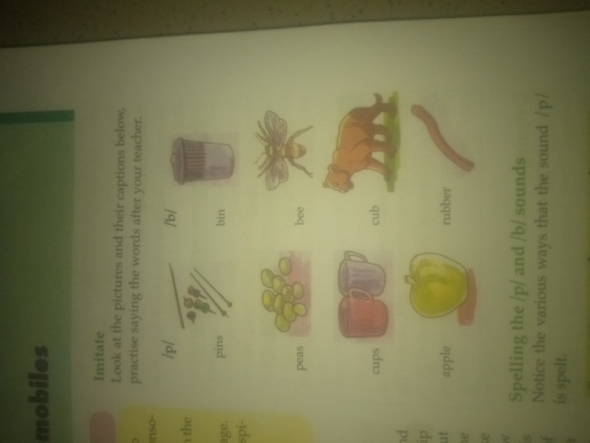 The image shows a page from a book, likely a children's educational book focused on phonics. The page is oriented vertically and is partially cut off at the top and bottom. The content is a series of images with corresponding words below them, likely meant to illustrate sounds.
From left to right, the images and their accompanying words (as much as can be read) are:
1. A thimble with the word "/p/" below it.
2. A cup with the word "bin" below it.
3. A bee with the word "bee" below it.
4. A bear cub with the word "cub" below it.
5. A piece of a rubber band with the word "rubber" below it.
6. Several pins with the word "pins" below it.
7. A pile of peas with the word "peas" below it.
8. Two cups stacked together with the word "cups" below it.
9. An apple with the word "apple" below it.
To the left of the illustrations, there is a heading that reads "Imitate" and below it, "Look at the pictures and their captions below, practise saying the words after your teacher."
Further down on the right side of the page, there is text that begins with "Spelling the /p/ and /b/ sounds" and continues with "Notice the various ways that the sound /p/ is spelt."
There are no discernible elements in the image that relate to Jauro Yinu, Nigeria, or any specific geographical location within a city. The scene depicted is entirely within the context of a printed book.