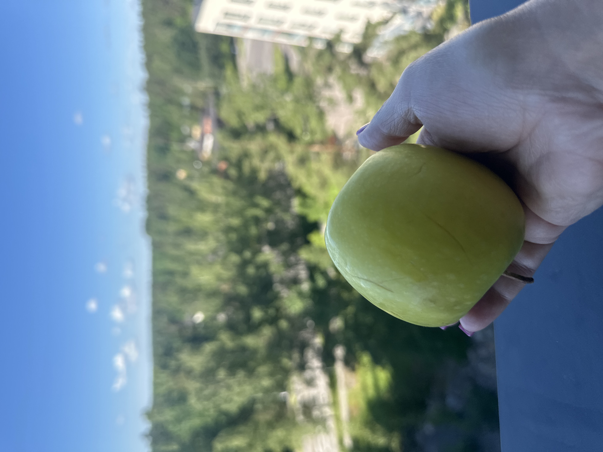 A close-up, vertical shot shows a hand holding a green apple against a blurred background of trees, a building, and a blue sky with clouds. The hand, with purple-painted fingernails, is positioned in the lower right portion of the frame, cradling the apple. The apple is pale green and slightly imperfect, with visible surface marks. The background, out of focus, suggests an outdoor urban environment with lush greenery and a modern building. The lighting indicates it is daytime, with bright sunlight casting subtle highlights.