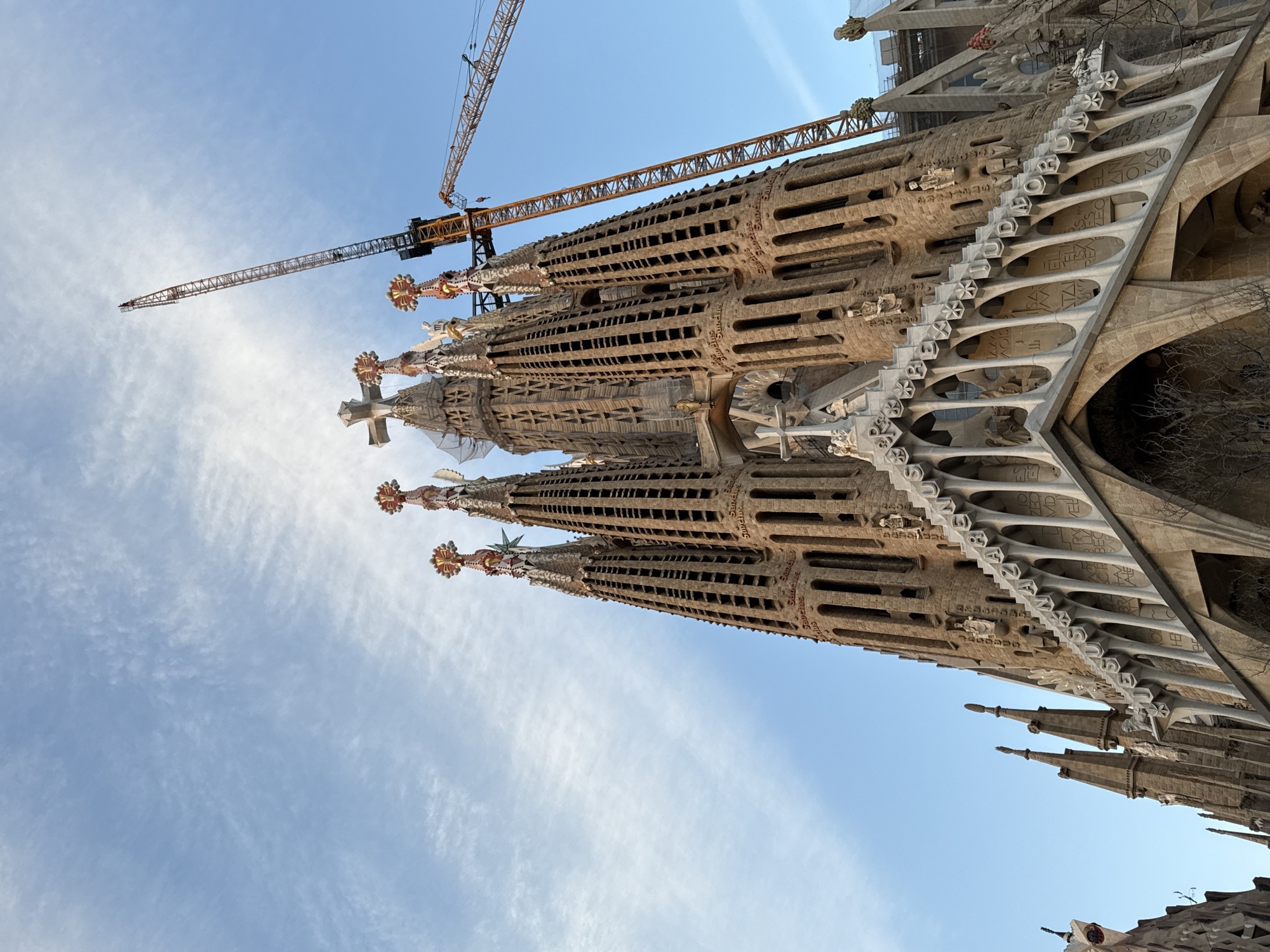 This image captures the Sagrada Familia basilica in Barcelona, Spain, from a low-angle perspective, looking upwards towards its upper structures. The sky, occupying the upper portion of the frame, is a light blue with scattered, wispy cirrus clouds. The central and lower sections are dominated by the basilica's distinct, sand-colored stone towers, which are intricately detailed with numerous vertical openings and sculptural elements. Several towers taper upwards and are topped with ornate, multi-colored finials and crosses, with a large stone cross prominently crowning one of the central spires. A white, stepped arched structure, part of a façade, is visible in the mid-ground, featuring visible Latin lettering such as "REX" and "IUDAEORUM" within its design. Two large yellow and black construction cranes are present on the right side of the image; one is a prominent tower crane extending significantly above the basilica's highest visible points, indicating ongoing construction activities. No individuals are discernibly present within the frame. Bare tree branches are partially visible in the lower-left foreground.
