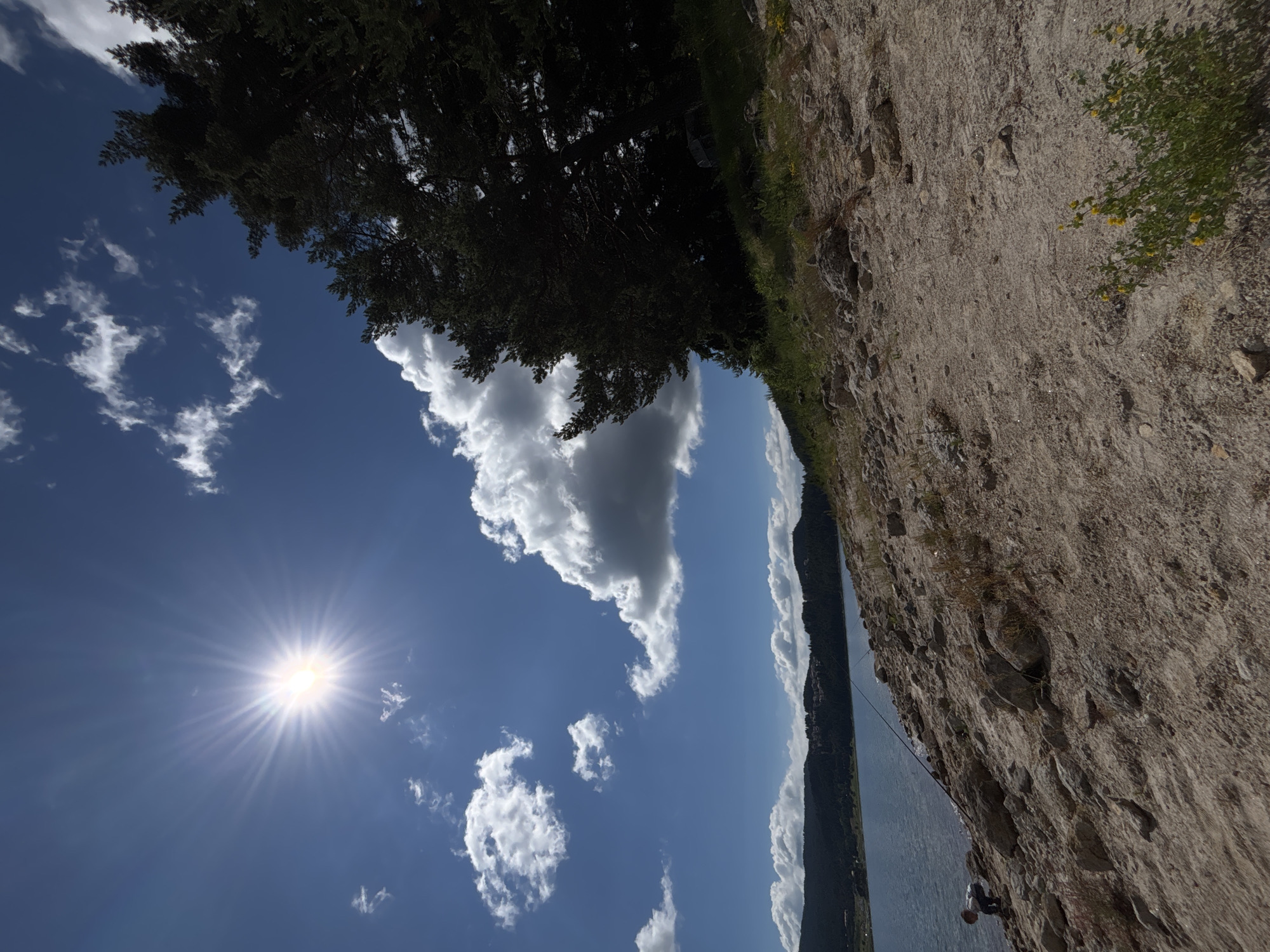 The image depicts a bright, sunny day at a rocky, lakeside environment. The sun is prominently positioned in the upper left corner of the sky, casting a strong glare. Fluffy white clouds are scattered across the deep blue sky. On the right side of the frame, a dense cluster of dark green pine trees forms a prominent feature. The foreground is dominated by a dry, sandy, and rocky terrain. A body of water, likely a lake or reservoir, is visible on the left, with a distant shoreline featuring a line of trees and some buildings. A single person, a child, is seen near the water's edge on the left, appearing to be crouched or leaning down. Two fishing rods are planted in the ground near the shoreline, suggesting fishing activity. Small yellow wildflowers are scattered in the foreground, adding a touch of color to the otherwise arid landscape.