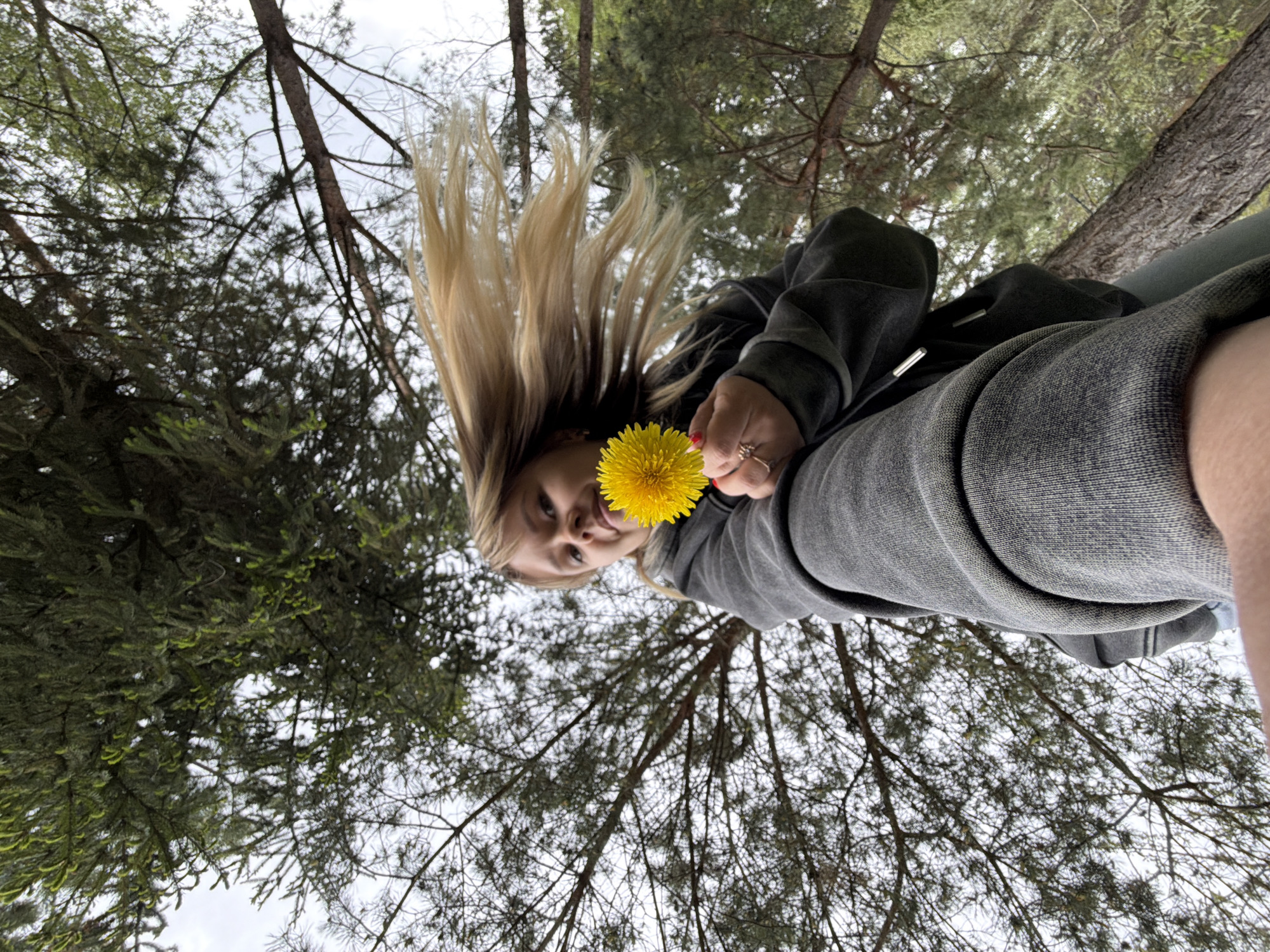 A woman is holding a yellow dandelion flower up to her nose in an outdoor setting. Her blonde hair is falling upwards, suggesting she is leaning backwards. She is wearing a grey hooded sweatshirt. Above her, there is a canopy of trees with bare branches visible against a cloudy sky. Green pine needles are visible on some of the branches. Her hand holding the flower has red nail polish and a ring. The location is Chaikovsky, Russia.