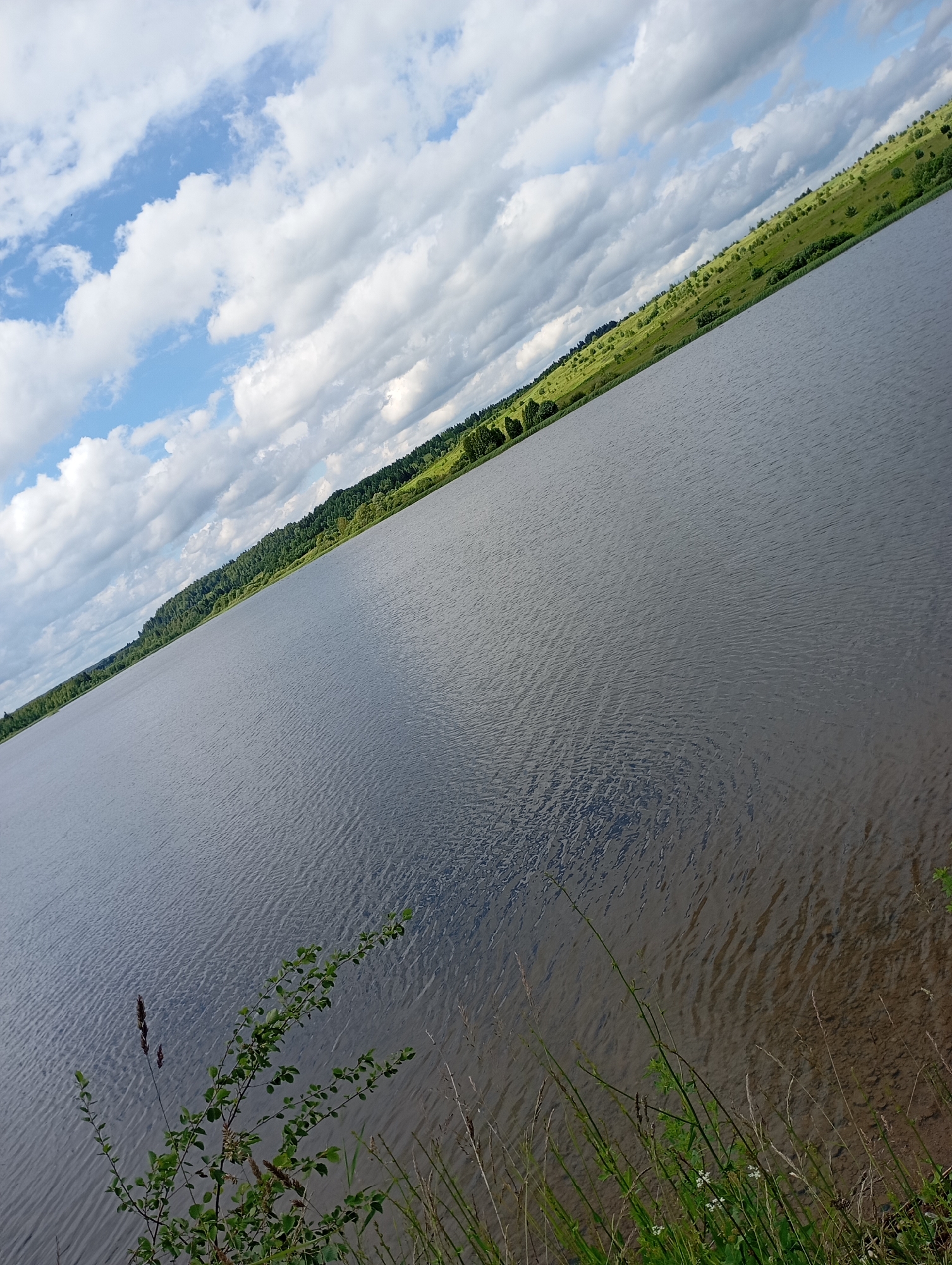 This media file is a photograph of a lake in Ryabki, Russia. The image depicts a vast body of calm water that takes up most of the frame. The water has a dark, somewhat murky appearance, with gentle ripples on its surface suggesting a light breeze. The shoreline is visible in the distance, characterized by a sloping, green hillside dotted with trees. The hillside appears lush and verdant, indicative of a warm season, likely summer. Above the landscape, a dramatic sky filled with large, fluffy white clouds dominates the upper portion of the image. Patches of blue sky are interspersed between the clouds, suggesting a partly cloudy day.
In the foreground, along the bottom edge of the image, there is a narrow strip of shoreline with grass and some small leafy bushes. These plants are green and appear to be growing on the bank of the lake. The overall scene evokes a sense of tranquility and natural beauty. There is no discernible activity or event taking place; it is a static landscape photograph. The time of day appears to be daytime, possibly late morning or afternoon, given the bright illumination and the quality of the light. The weather appears to be fair, with a mix of sun and clouds. No text is visible in the image.
