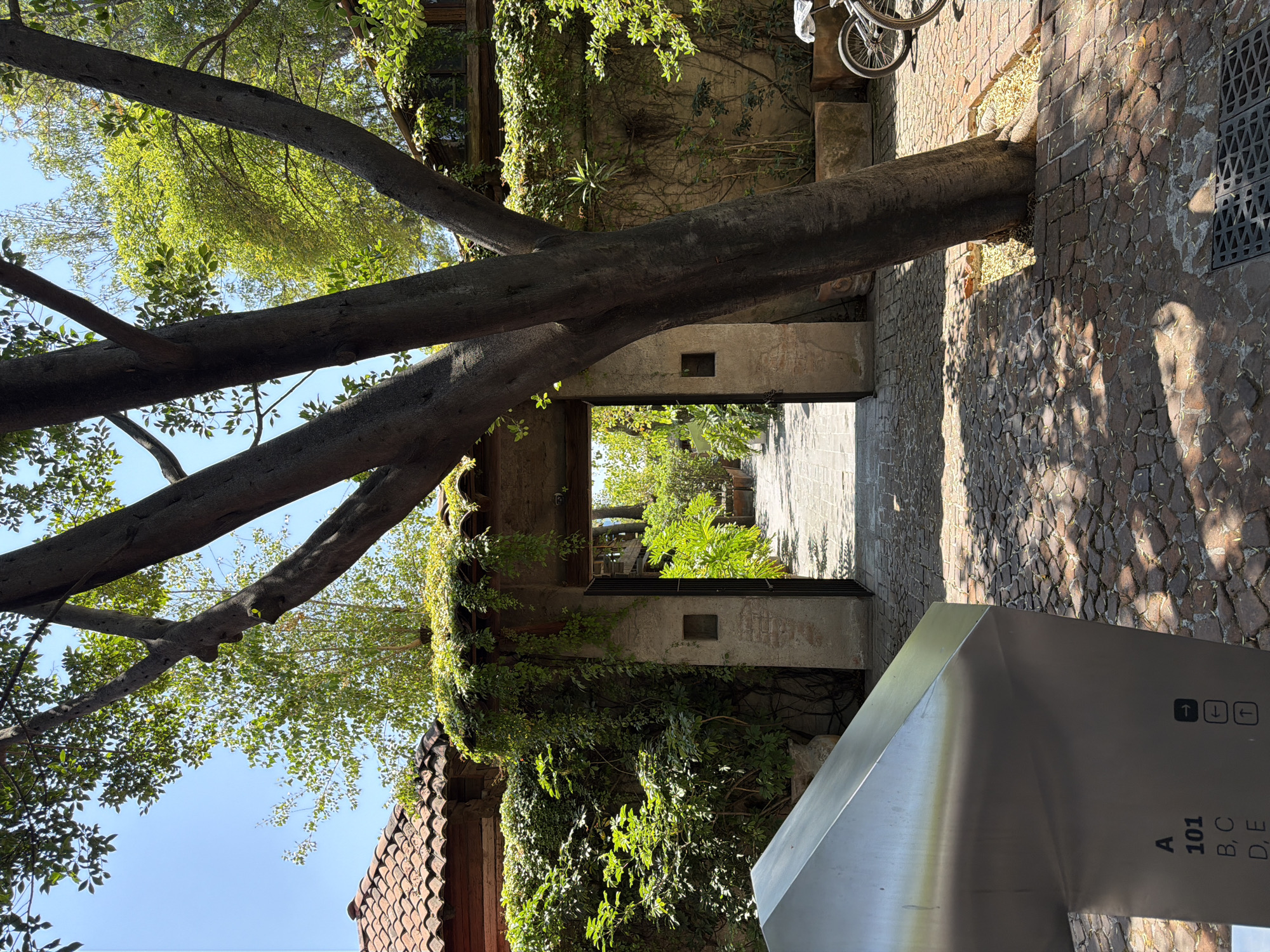 The scene depicts an exterior entrance to a renovated commercial or cultural complex, characteristic of a former colonial building or hacienda repurposed into businesses, galleries, or restaurants, commonly found in the historic center of Puebla, Mexico.
In the immediate foreground, a large, multi-trunked tree stands centrally on an irregular reddish-brown cobblestone pavement, which displays strong dappled sunlight and shadows. To the lower left, an angled, brushed metallic kiosk or directory sign is visible, bearing the alphanumeric text "A 101," "B, C," and "D, E," accompanied by black directional arrows (one pointing right, two pointing up/down). A dark gridded drain cover is present in the lower right of the cobblestone surface.
The central feature is an open archway, constructed from light-colored stucco with exposed brick elements, providing access to an interior courtyard. A dark metal gate is fully open within the archway. Walls flanking this entrance are extensively covered in dense green ivy and other foliage. The wall to the left is topped by a traditional terracotta tiled roof, partially obscured by greenery. The wall to the right exhibits more exposed light-colored stone or stucco, with rectangular planters positioned at its base and a dark-framed window visible higher up, partially veiled by overhead foliage. The front wheel and handlebars of a bicycle, partially covered with white material, are visible in the right midground, positioned near the wall. Beyond the open archway, a paved interior walkway is discernible, lined with various potted plants and dense green foliage, suggesting an interior garden space. The upper portion of the image reveals a clear, bright blue sky through the canopy of the foreground tree and other surrounding trees. No people are present in the scene.