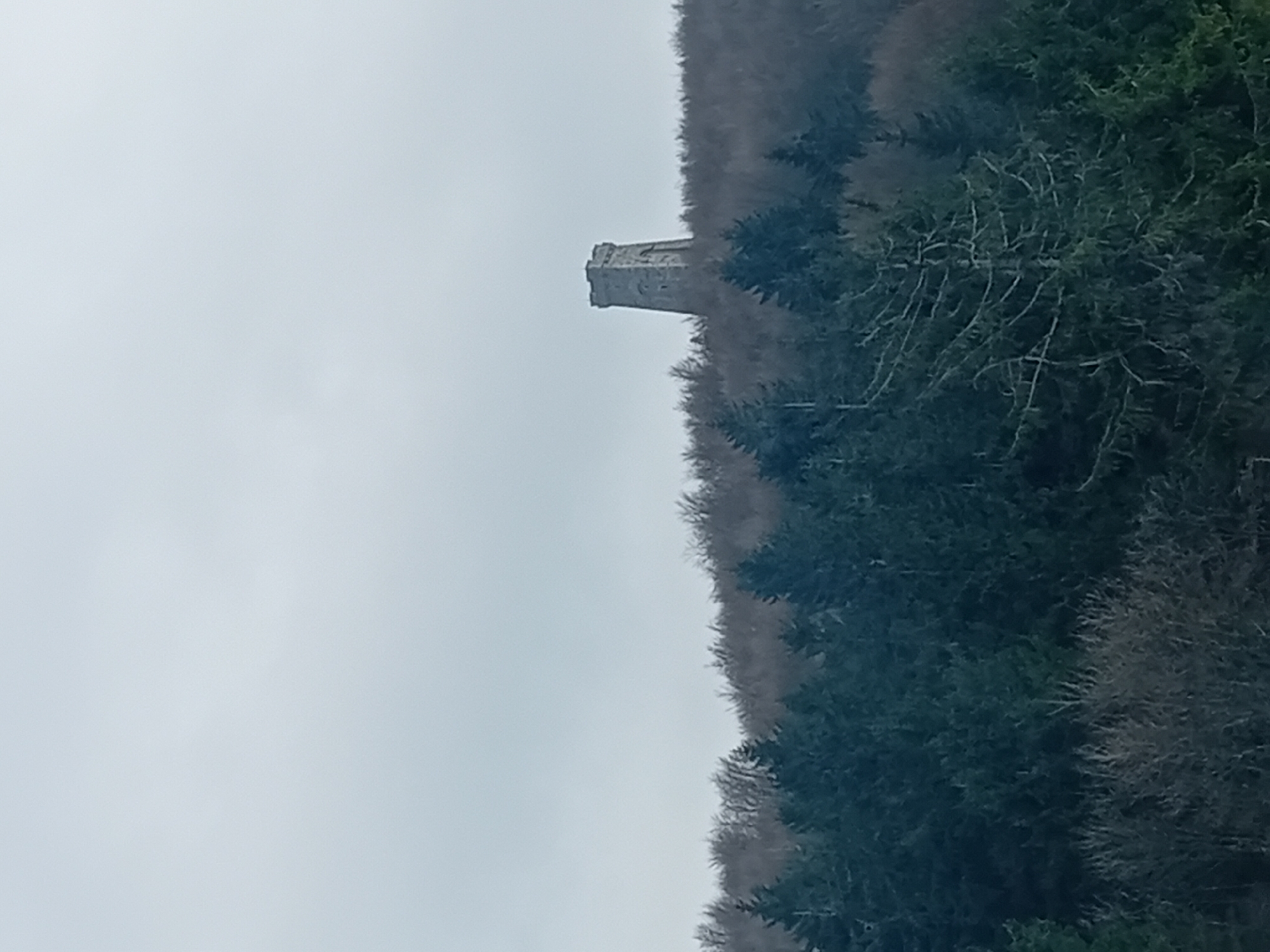 The image shows a stone tower structure in a wooded area. The location is Unknown, Unknown. The tower has a square base and appears to be weathered. It is surrounded by bare trees and evergreen trees. The sky is overcast.