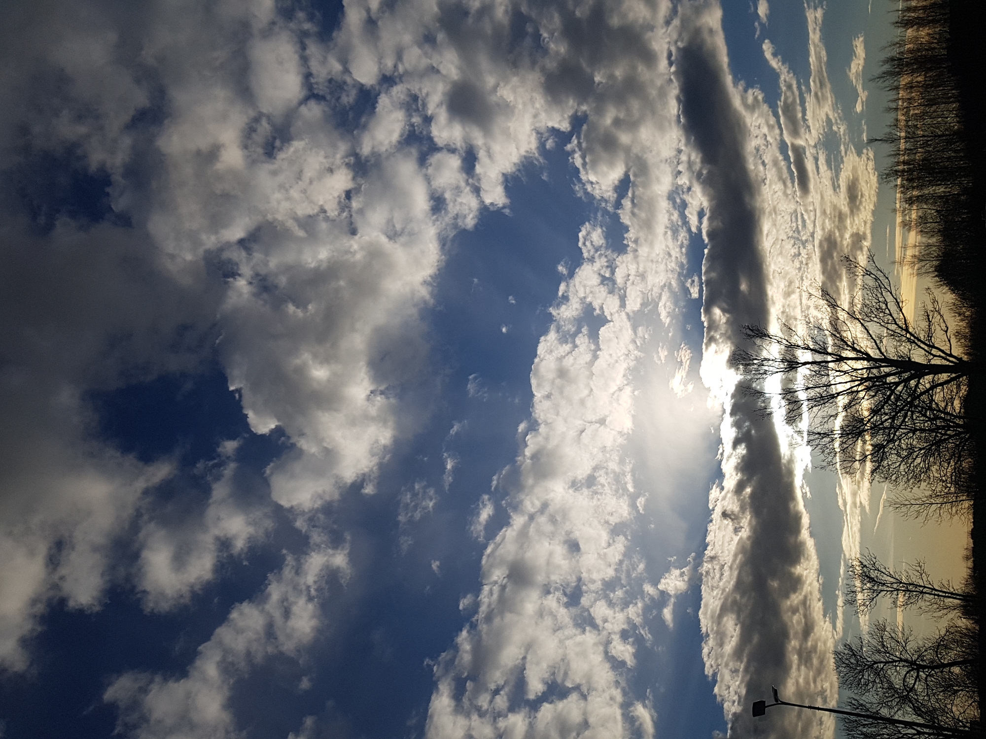 The image, appearing to be captured in portrait orientation, showcases a dramatic and partly cloudy sky over Saint Petersburg, Russia. A vast expanse of sky is filled with a dynamic mix of white, grey, and darker cumulus clouds, with segments of bright blue sky peeking through. The sun, positioned towards the right side of the frame, is largely obscured by a dense band of clouds, but its radiant rays intensely pierce through, creating a luminous glow and highlighting the edges of the clouds.
Along the right side of the image, a silhouette of bare, deciduous trees forms a distinct horizon line, suggesting a late autumn or winter setting typical for the region. Beyond these trees, the sky displays softer hues of golden yellow and light blue, indicating either a sunrise or sunset. In the lower right corner, a dark, slender silhouette of a lamppost extends upwards, adding a subtle man-made element to the natural landscape.
No people are visible in the scene, and there is no discernible text. The primary focus is on the striking cloud formations and the interplay of light and shadow created by the sun, conveying a sense of natural grandeur and a serene yet powerful atmosphere.