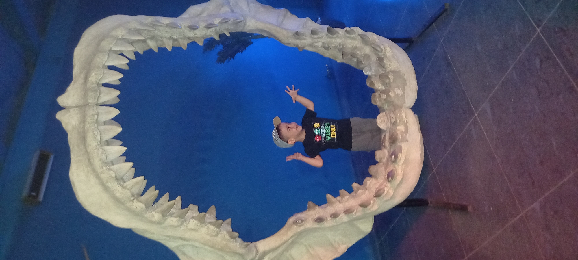 A child stands within a large megalodon jaw replica, his arms raised in a gesture, as if being eaten. He is wearing a black t-shirt with a video game-themed design that reads "GOOD VIBES ONLY," gray shorts, and a baseball cap. The replica is ivory-colored, showing numerous teeth. The background is a blue wall, which gives an underwater illusion. The picture appears to be taken in an aquarium or museum, possibly in Krasnodar, Russia. The lighting comes from overhead. The lower-right corner of the image reveals a dark tiled floor.