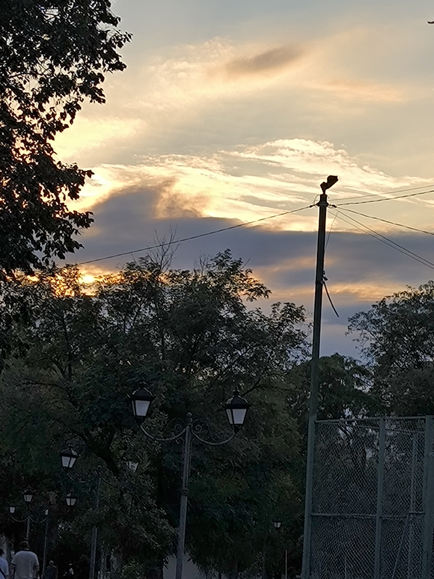 The image captures a sunset with dramatic clouds over a city park in Mykolaiv, Ukraine. A silhouette of a tree is prominent in the foreground on the left, with its leaves dark against the colorful sky. A tall utility pole with wires stretches across the frame, and what appears to be a bird or a small object is perched on top of it. Below the sky, a dense line of trees forms a backdrop. In the lower part of the image, several vintage-style lampposts line a walkway, casting a soft glow. The lighting suggests it is late evening or early morning. In the distance, a chain-link fence is visible on the right side of the frame. A few individuals are dimly visible in the lower left corner, walking along the path. The overall atmosphere is serene, despite the presence of the utility pole.
