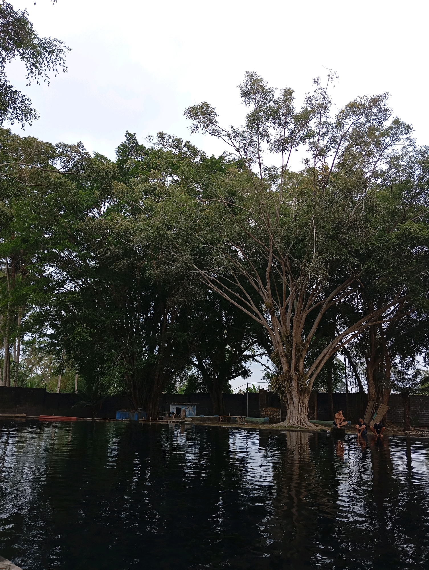 In Sememu, Indonesia, a natural pool is framed by large, mature trees with expansive canopies. The water's surface is dark and reflective, mirroring the surrounding foliage and the overcast sky. Along the edge of the pool, several individuals are seated, some with their feet submerged in the water, appearing to be in a relaxed state. In the background, a low wall encloses the area, with small structures and more vegetation visible beyond.