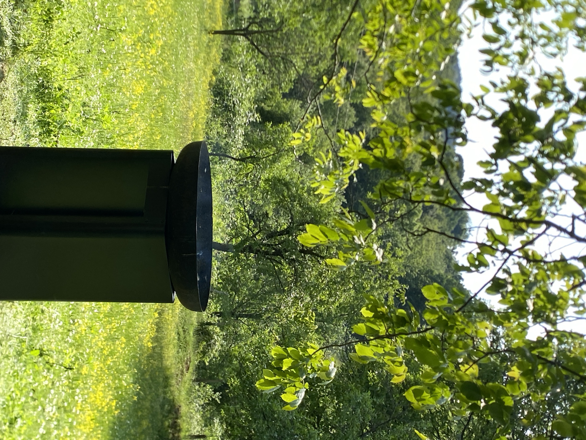 The image depicts a landscape in Gornje Leskovice, Serbia. The foreground contains a dark, metal cylindrical object, possibly a trash receptacle or a component of a public amenity. Beyond the object, there is a grassy field speckled with yellow wildflowers. The middle ground is filled with lush green trees and vegetation. The background includes more trees, creating a sense of depth in the landscape. The scene is illuminated by sunlight, with highlights on the leaves and grass.