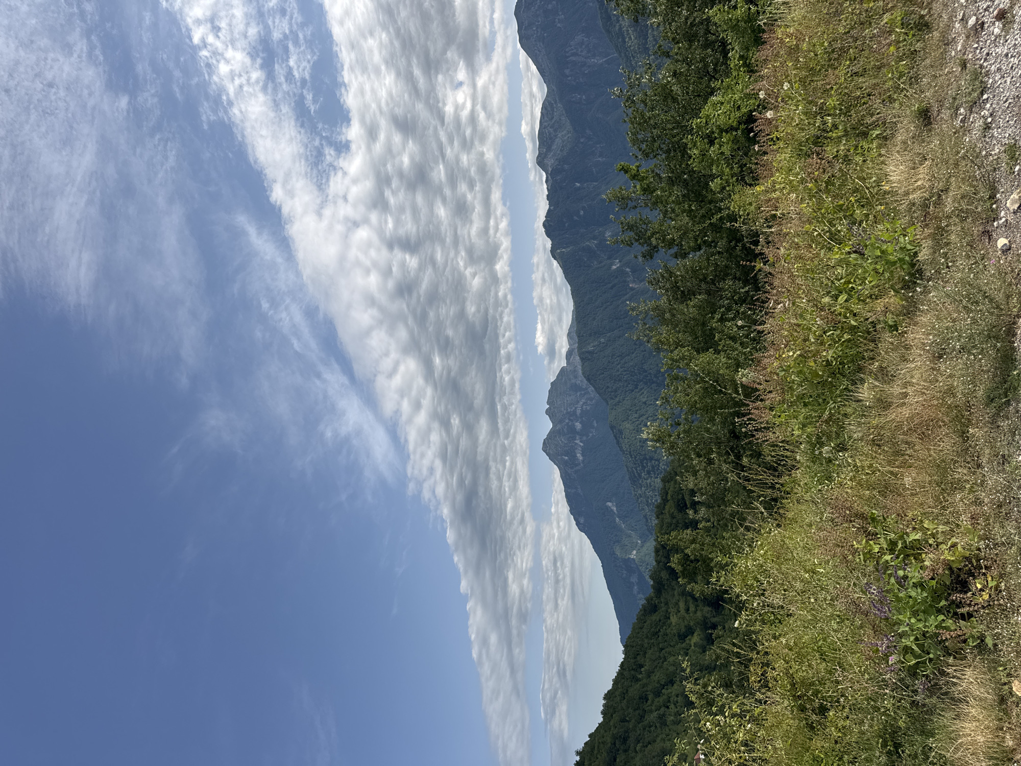 A scenic vista captures the rugged beauty of the mountains surrounding Dragovića Polje, Montenegro. The sky is a brilliant blue, adorned with wispy white clouds that stretch across the expanse. In the foreground, a field of tall, dry grass and various wild plants, some with small purple flowers, thrives under the sunlight. Beyond this natural meadow, a dense, green forest blankets the lower slopes of the mountains. The majestic peaks of the mountains rise in the background, their dark, shadowed surfaces contrasting with the lighter, forested hills. The overall scene evokes a sense of natural tranquility and the vastness of the mountainous landscape.