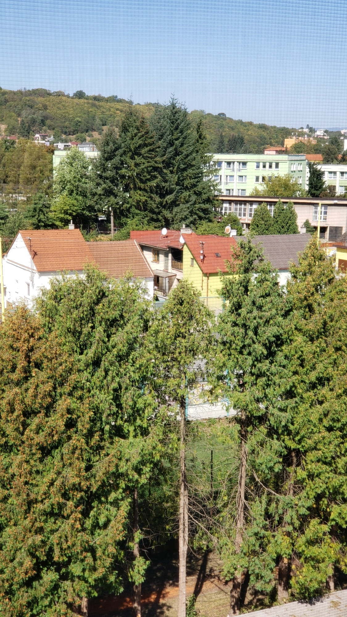 The image displays a view of residential buildings and evergreen trees, likely from an elevated vantage point, overlooking a neighborhood. The foreground is dominated by dense evergreen trees, with some showing signs of seasonal browning. Behind the trees, several houses with terracotta tiled roofs are visible. One house is white, with another adjacent to it painted yellow with a red roof, and a third with a grey roof. Further back, larger, multi-story buildings with light green and white facades are present, suggesting a more urban or apartment-style development. The background consists of a tree-covered hillside under a clear blue sky. The overall impression is of a sunny day in a suburban or semi-urban area. This scene is consistent with the residential areas found in Prešov, Slovakia, particularly in neighborhoods with a mix of detached homes and larger apartment complexes nestled amongst natural green spaces.