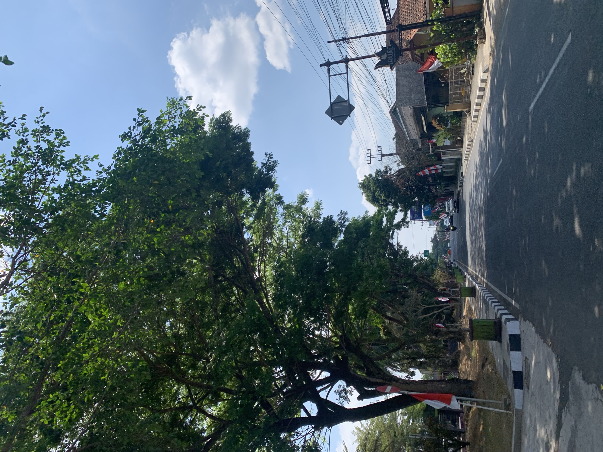 The image depicts a street scene in Ciamis, Indonesia, on a sunny day with a clear blue sky and scattered white clouds. The street is lined with mature trees on the left, their lush green foliage casting shadows on the asphalt road. Several Indonesian flags, red and white, are visible along the sidewalk. The sidewalk itself is marked with alternating black and white stripes. On the right side of the road, there are houses with red-tiled roofs and utility poles with numerous electrical wires. A few vehicles, including cars and motorcycles, are present on the road. The overall atmosphere suggests a peaceful and ordinary day in a residential or commercial area.