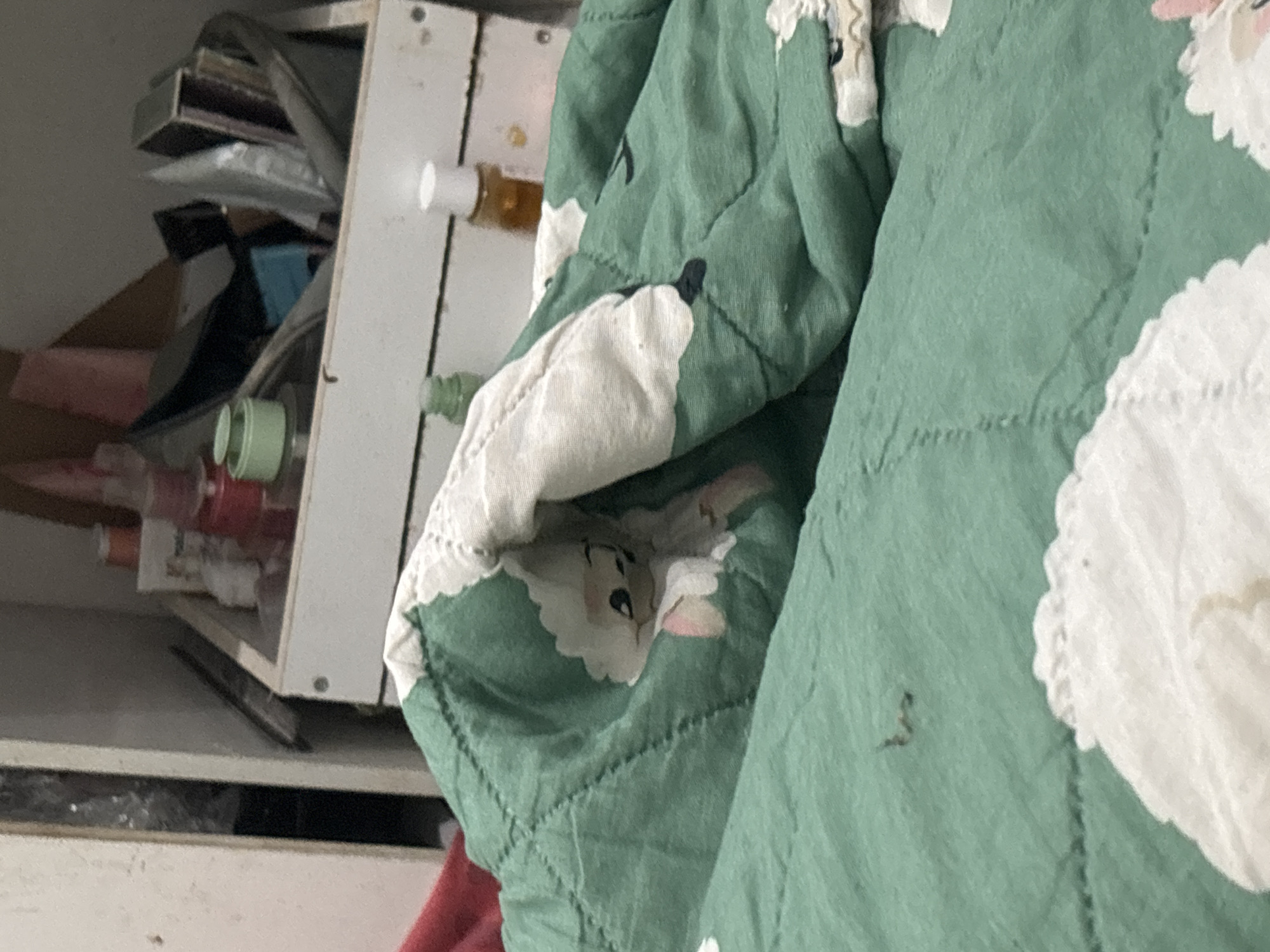 The image shows a cluttered shelf in what appears to be a bedroom. On the shelf are various personal care products and cosmetics, including bottles, jars, and tubes. A green blanket with a sheep pattern is draped over the edge of the shelf and a bed in the foreground. The blanket is folded, revealing part of the sheep design. A small dark object, possibly a piece of debris or an insect, is visible on the green blanket. The background is out of focus, but suggests a domestic environment. The image does not provide specific details about the location within North Jakarta, Indonesia, beyond it being a residential interior.