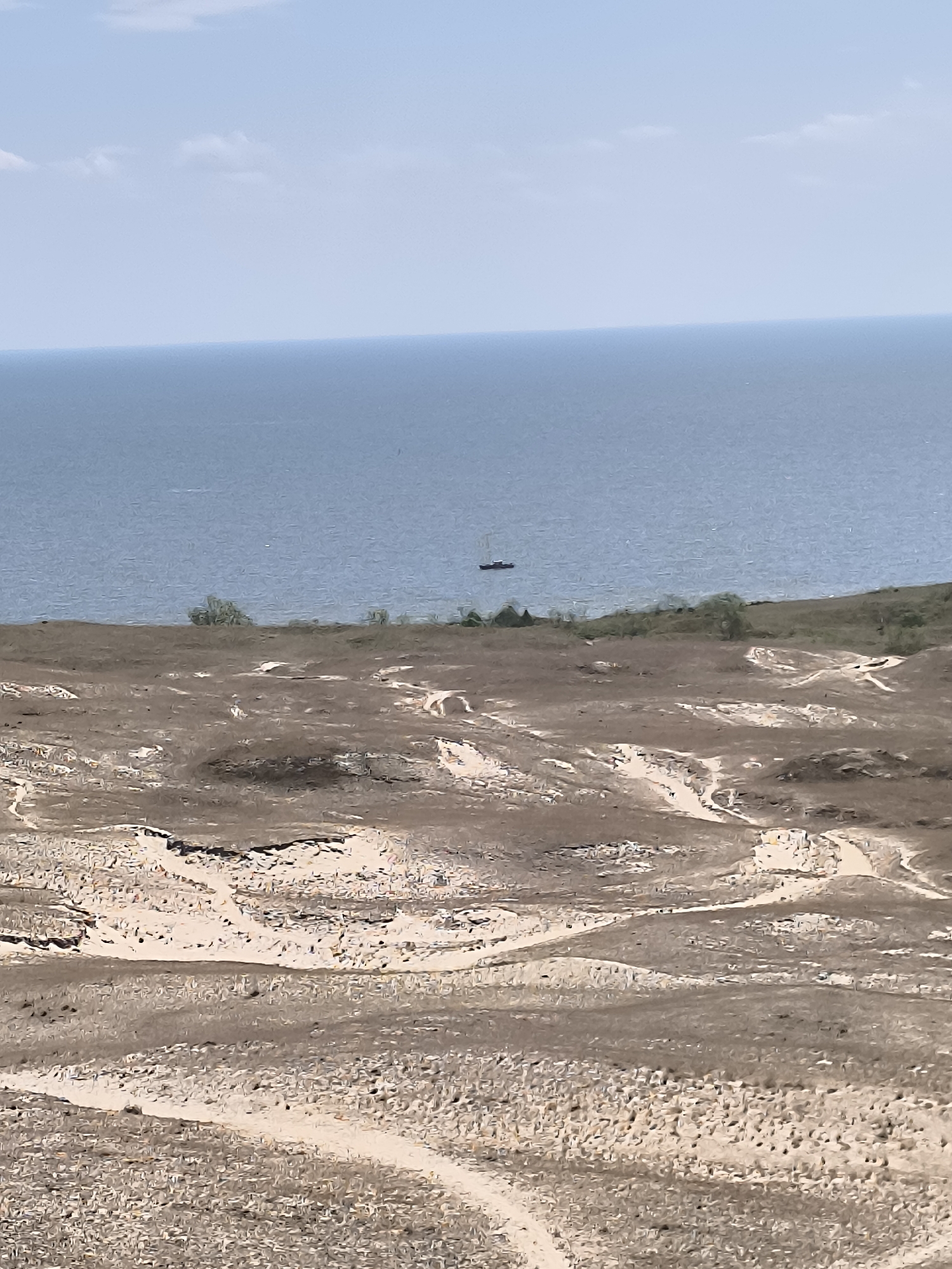 The image shows a wide, panoramic view of a coastal landscape. In the foreground, there are sandy dunes with sparse vegetation and winding paths. The middle ground features a slightly elevated grassy area with a few scattered trees. In the background, a calm, blue sea stretches to the horizon, meeting a pale blue sky with a few wispy clouds. A small sailboat is visible in the distance on the water. The scene appears to be located in the Curonian Spit, near the city of Neringa, Lithuania, a region known for its unique sand dunes and coastal scenery. There are no people or discernible activities depicted in the image.