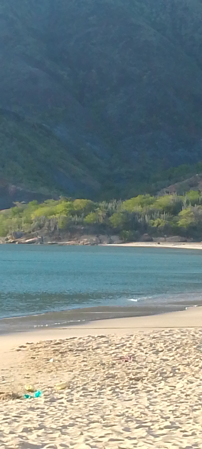 A scenic view encompasses a sandy beach in the foreground, where discarded plastic items are visible. Turquoise ocean waters stretch towards a rocky shoreline dotted with green vegetation and cacti. In the backdrop, a massive, dark green mountain dominates the landscape, reaching high into the frame. The scene depicts a contrast between natural beauty and human impact.