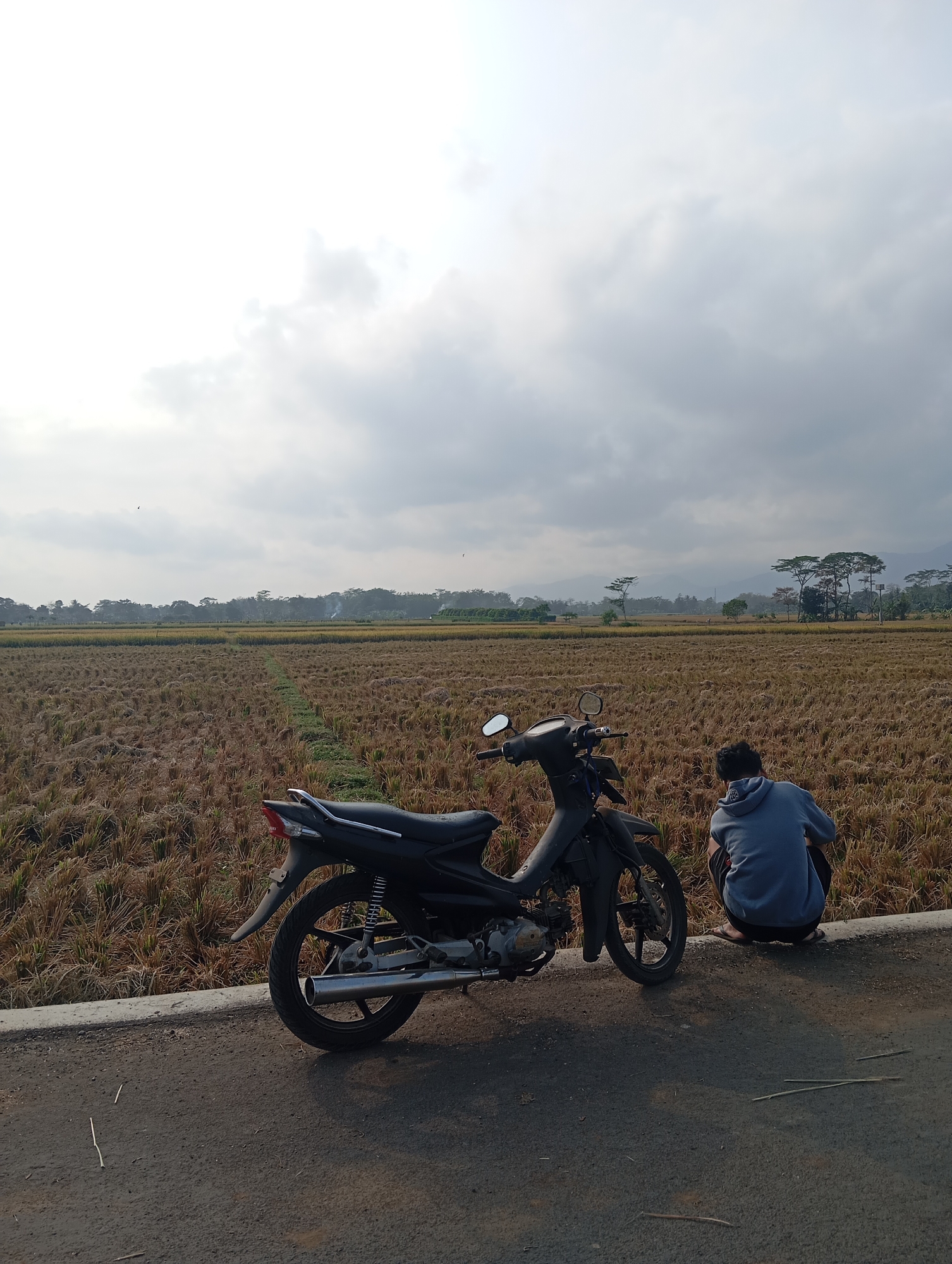 The image depicts a rural scene in the city of Sokaraja, Indonesia. In the foreground, a black motorcycle is parked on the side of an asphalt road. A person wearing a blue hooded sweatshirt and dark shorts is crouched down by the roadside, facing away from the camera and towards a harvested rice field. The field is predominantly brown and appears to be dry stubble, with a narrow path cutting through it. In the background, a line of trees and distant hills are visible under a cloudy sky. The overall atmosphere is tranquil and suggests a moment of rest or observation in the countryside.