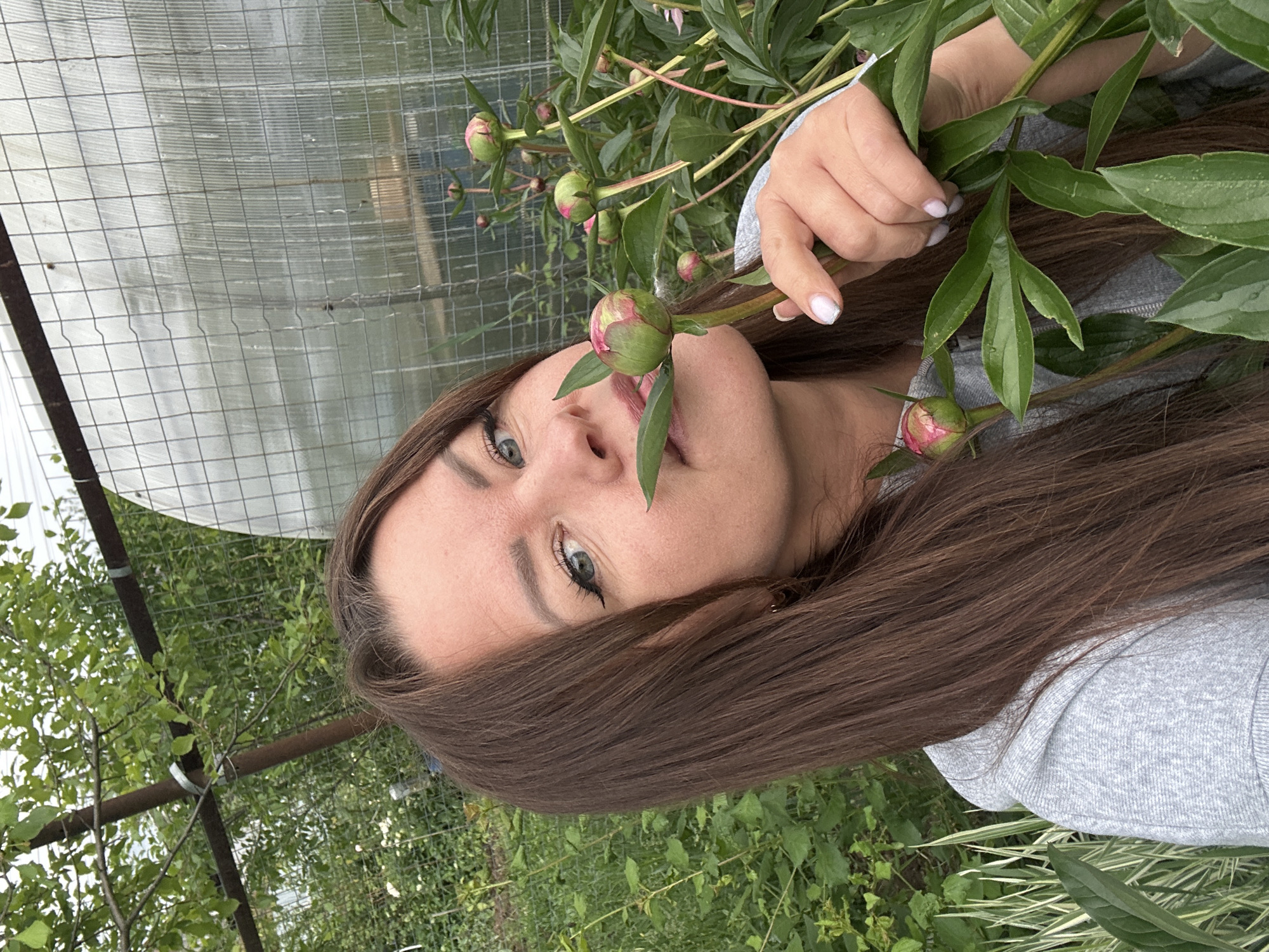 The scene depicts an outdoor garden environment located in Chaikovsky, Russia. A female individual, appearing to be in her 20s or 30s, is positioned in the center-left foreground. She has long, straight, dark brown hair and light-colored eyes, accentuated with visible dark eyeliner. Her attire consists of a light gray hooded sweatshirt. Her fingernails are manicured with a pale, possibly iridescent, polish. The woman holds multiple closed peony buds; her left hand grasps several stems, while one green and pink-tipped bud is held near her mouth. Her gaze is directed forward, towards the camera. In the midground to the right, a greenhouse structure is visible, constructed with translucent corrugated polycarbonate panels supported by a square-grid metal framework. The background to the left displays dense green foliage, comprising trees and shrubs, situated behind a brown metal vertical post and a horizontal metal bar, indicative of a fence or support structure. Variegated green and white plants are present in the lower-left foreground.