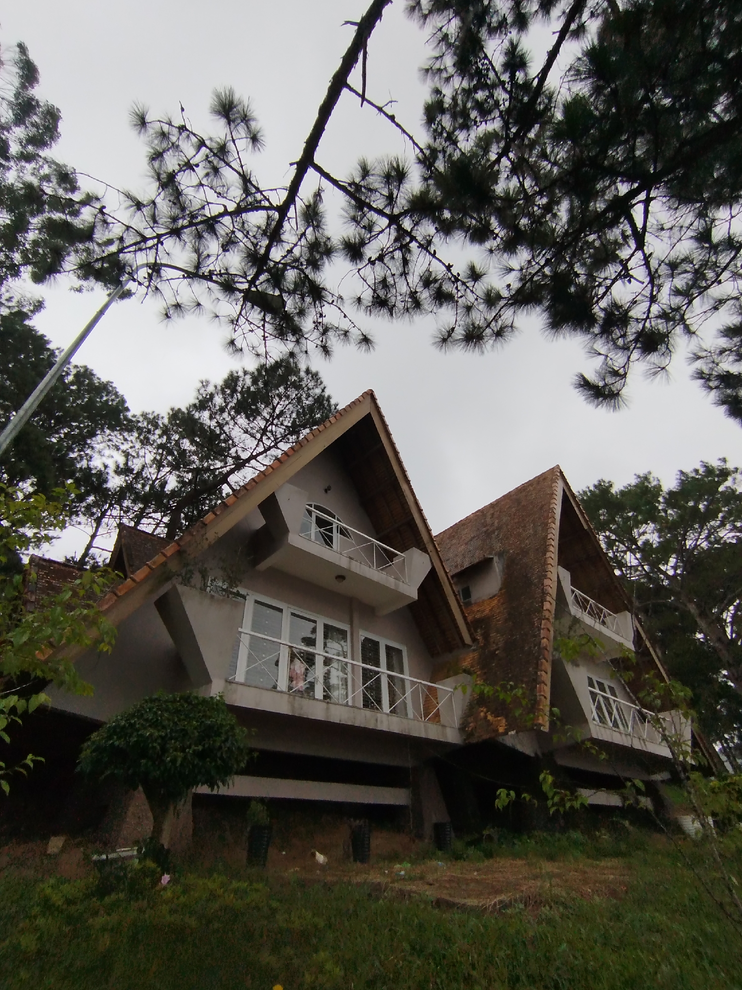 This low-angle photograph captures a pair of adjacent A-frame houses situated on a hillside in Da Lat, Vietnam. The houses, constructed with light-colored walls and reddish-brown tiled roofs, feature multiple balconies with white railings. Large windows are visible on both levels of the structures. The foreground is dominated by lush green grass and some scattered foliage. In the background, tall pine trees with dark branches and needles create a canopy overhead, partially obscuring an overcast sky. The overall impression is one of a tranquil, somewhat rustic dwelling in a forested mountainous region.