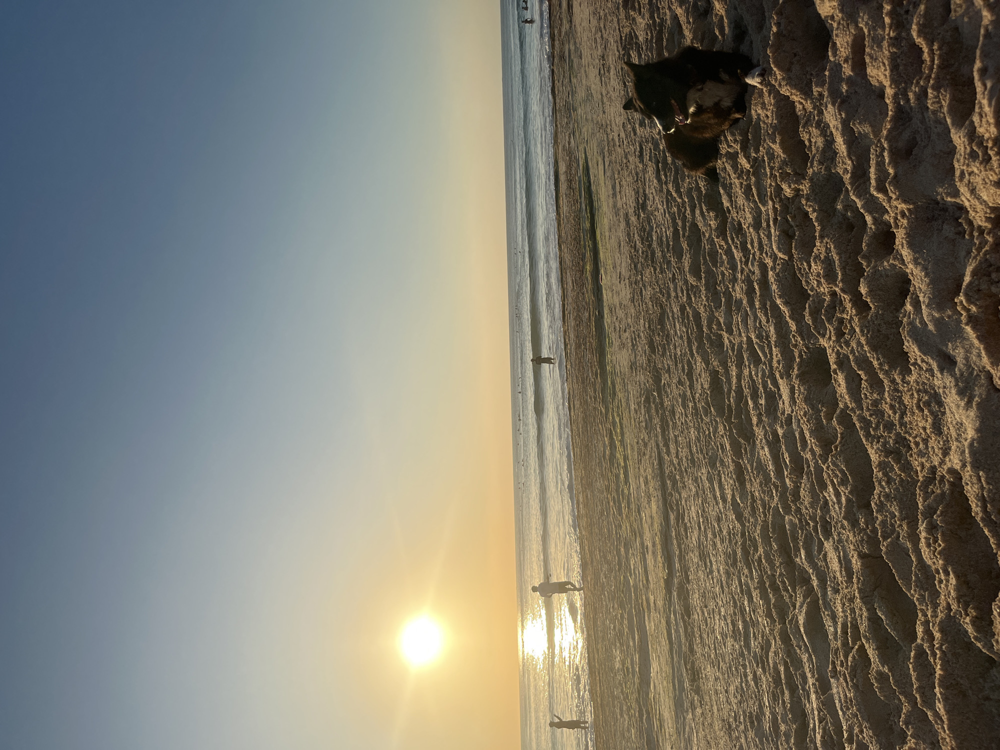 This image depicts a serene beach scene at sunset in Kuta Selatan, Indonesia. The sun, a bright orb, casts a warm golden glow across the sky and reflects on the gentle waves of the ocean. Several people are visible near the water's edge, some wading and others standing. A dog is lying on the sandy beach in the foreground, facing away from the camera. The sand is textured with ripples and patterns. The overall impression is one of tranquility and natural beauty.