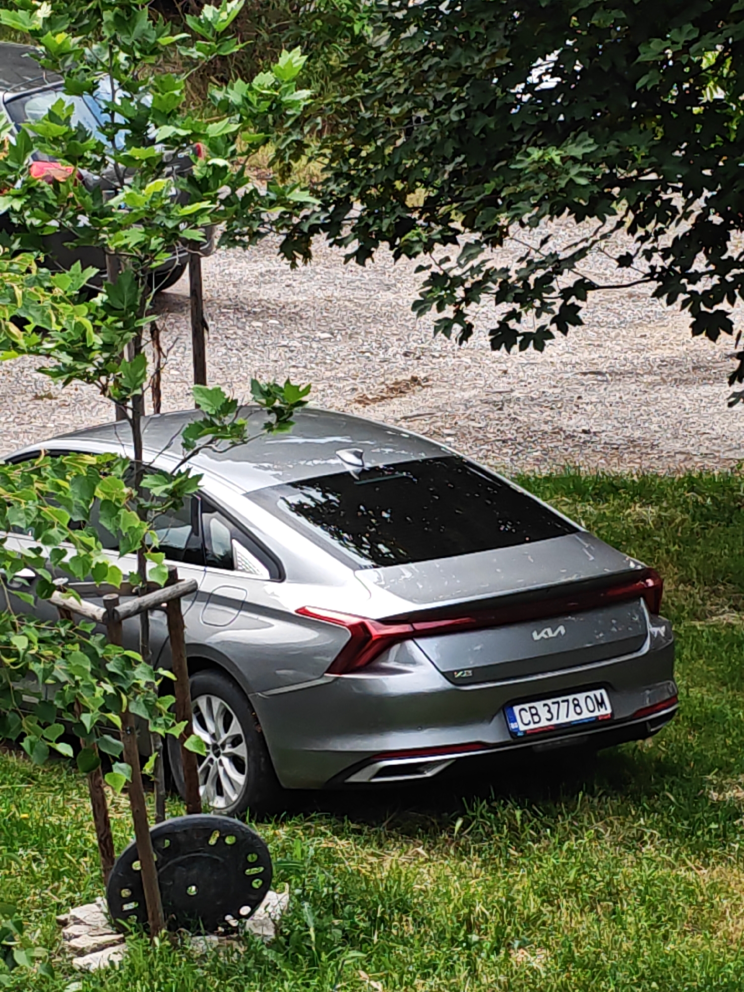 A gray Kia sedan is parked outdoors, seen from a high angle looking down at its rear and right side. The car is positioned on a grassy patch next to a gravel area, partially obscured by green tree foliage and branches in the foreground and overhead. The car features a modern design with a full-width LED taillight bar and the "KIA" logo on the trunk. A Bulgarian license plate, "CB 3778 OM," is clearly visible on the rear, indicating the car is registered in Sofia.
In the immediate foreground, a young tree is supported by wooden stakes, with a black, perforated circular base or weight at its foot on the grass. Another blurry car is partially visible through the foliage in the upper left background. The setting appears to be a casual outdoor parking or residential area during the daytime, with natural light illuminating the scene. No people are visible, and no specific activity other than parking is taking place. The ground beyond the grass is covered in light-colored gravel.