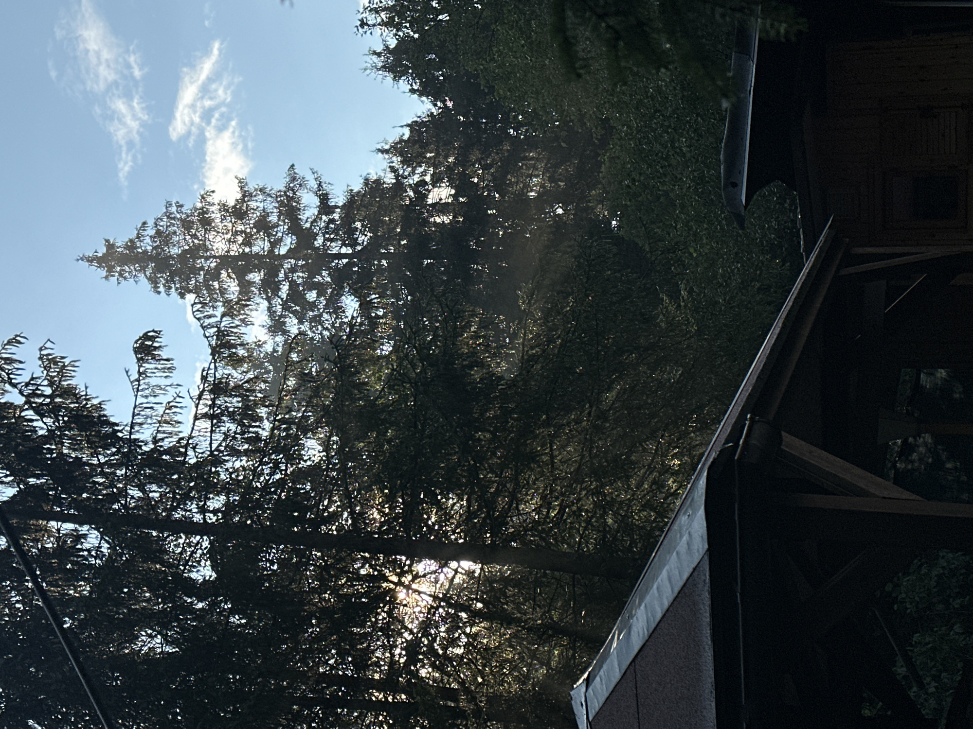 The image depicts a forest scene with a wooden structure in the foreground. Tall evergreen trees dominate the background, with sunlight filtering through their branches, creating a hazy effect. The sky is blue with scattered clouds. In the lower left of the frame, a portion of a dark-colored, pitched roof is visible, supported by wooden beams. This structure appears to be an outdoor shelter or gazebo. To the right, a dark wooden building with a window can be seen. The overall environment suggests a natural, possibly semi-rural or park-like setting. There are no people or animals visible in the image. The lighting indicates it is daytime, likely morning or late afternoon due to the low angle of the sun. The image does not provide any specific clues to pinpoint its exact location within Borno, Italy, beyond the general description of a forested area with man-made structures.
