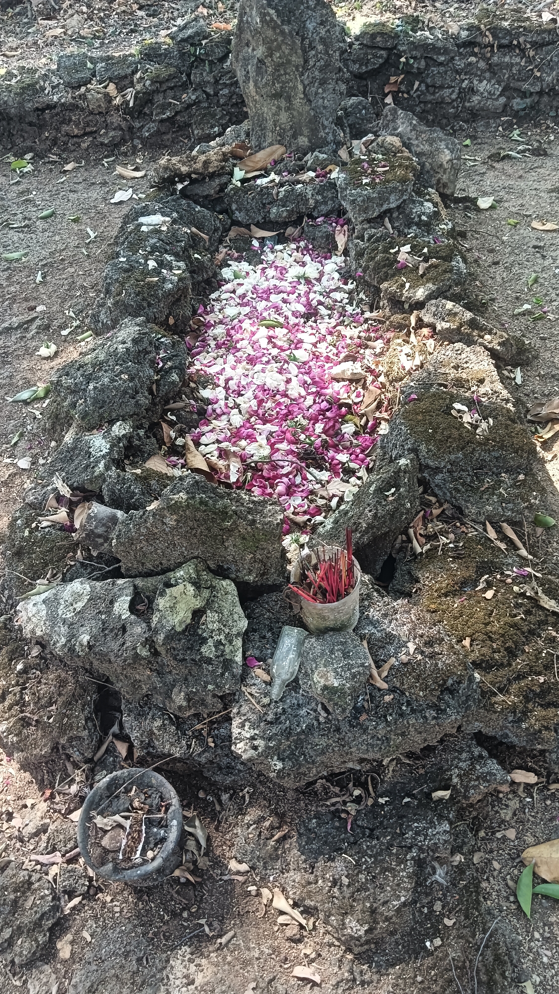 The image depicts a tomb in the city of Tanggan, Indonesia. The tomb is constructed with rough, dark rocks and is partially overgrown with moss. The top of the tomb is covered with a layer of white and pink flower petals, suggesting a recent offering or memorial. In front of the tomb, to the right, is a small, rustic bowl containing several red-tipped incense sticks. To the left of the tomb, on the ground, sits a small, dark bowl containing dirt and what appear to be dried leaves and small debris. The surrounding environment is natural, with dry soil, fallen leaves, and scattered rocks. A large, vertical rock stands at the head of the tomb. The lighting suggests it is daytime, with sunlight casting shadows.