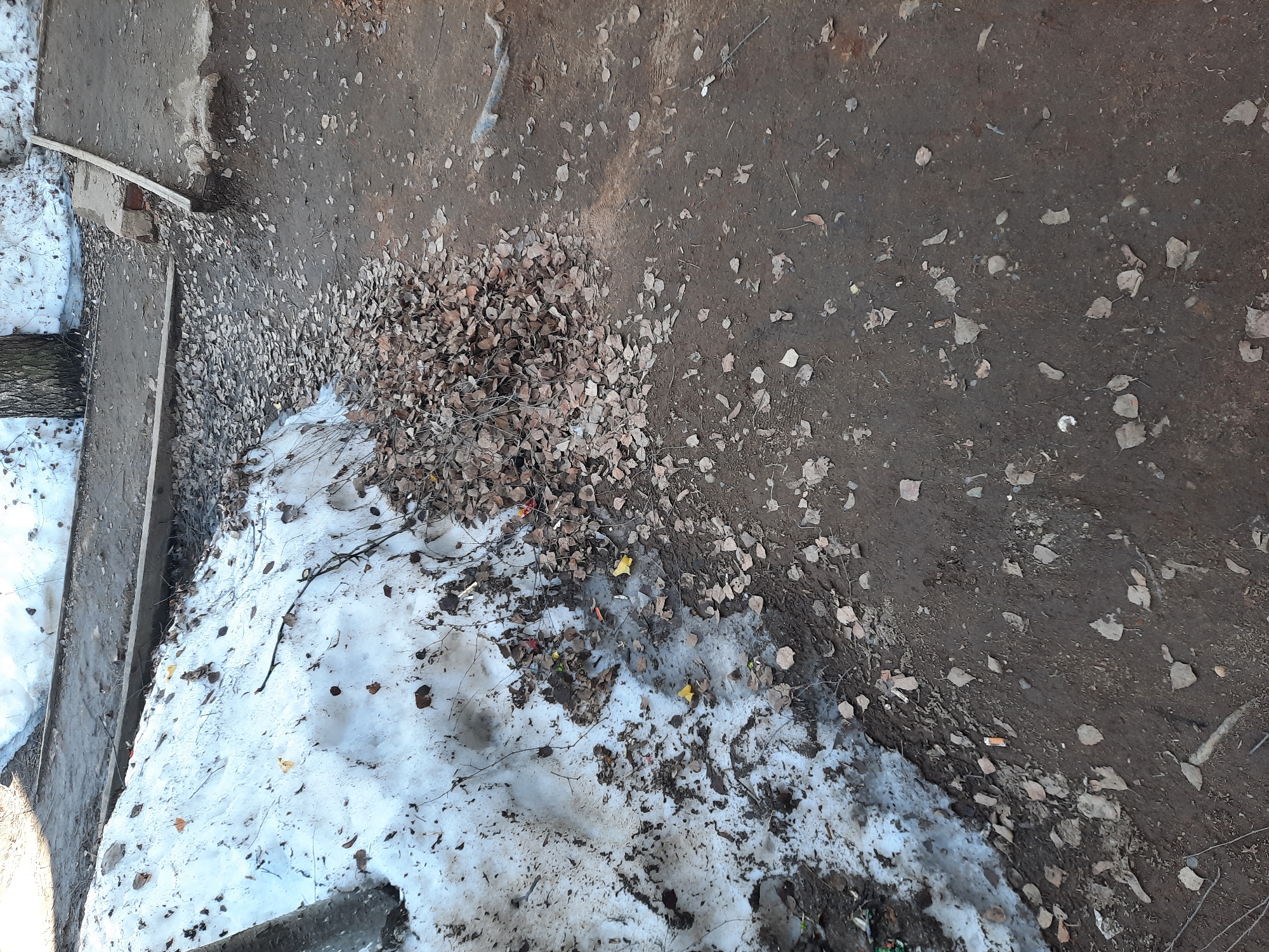 The image depicts a ground-level scene in what appears to be a park or undeveloped area. The location appears to be Krasnogorskoye, Russia. The ground consists of a combination of dirt and melting snow. A large pile of dead leaves is visible, partially covered by snow. Debris such as twigs, branches and assorted trash are scattered throughout the scene. A concrete structure is partially visible on the side of the snow. No people or animals are visible.
