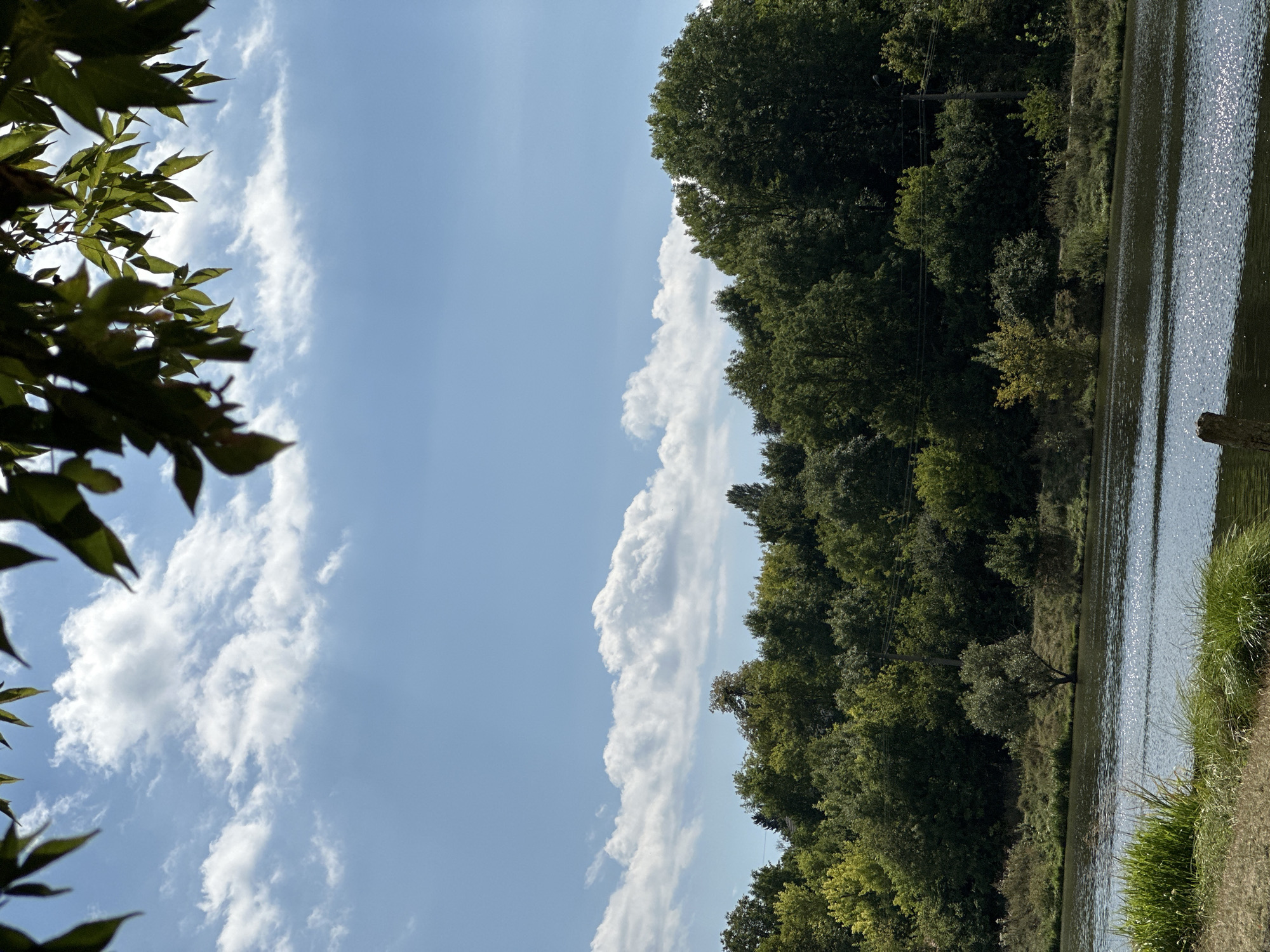 The image shows a serene river scene with a dense forest bordering the far bank. The sky above is a clear blue, dotted with fluffy white clouds, and framed by the dark green leaves of a tree in the foreground. The river's surface reflects the sunlight, creating shimmering patterns. The forest is a vibrant mix of various shades of green, with some trees showing hints of yellow, suggesting the season might be late summer or early autumn. A single, medium-sized tree stands in the river, seemingly rooted in the water. On the near bank, tall green grass grows along the edge of the water. A weathered wooden post is partially visible in the lower right corner of the frame. The image appears to be a natural landscape, possibly in or near the village of Makiv, Ukraine, given the typical scenery of such regions. There are no people or animals visible in the scene. The overall impression is one of tranquility and natural beauty.
