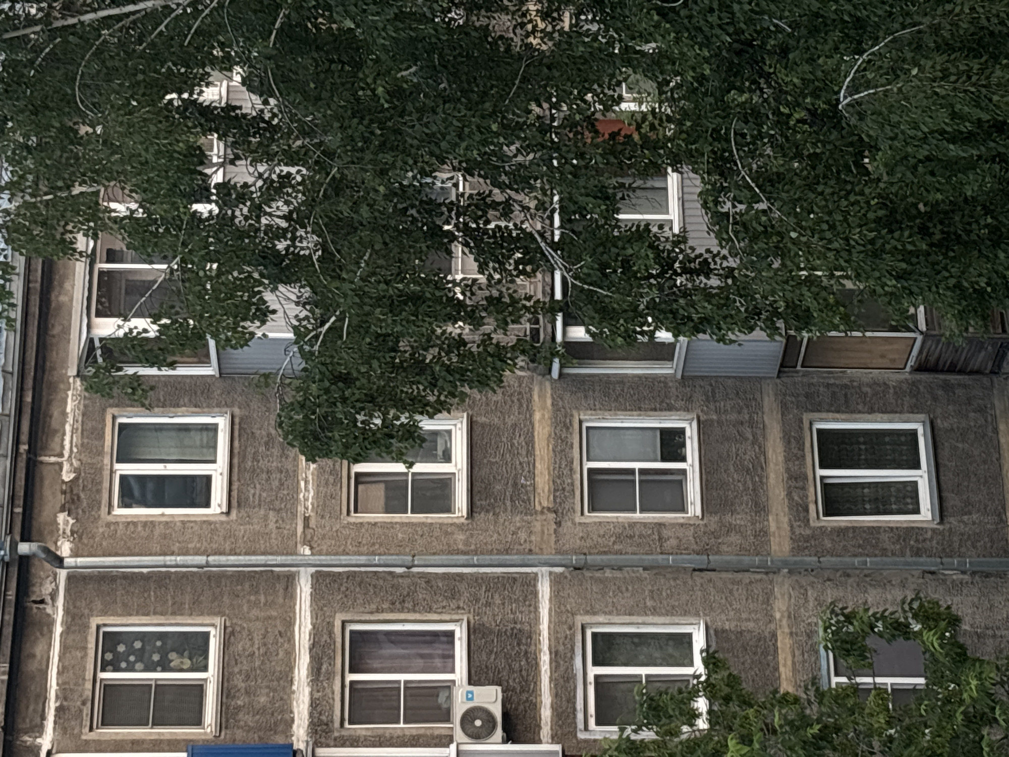 The image shows a partial view of a multi-story building, likely an apartment building, with a large tree in the foreground obscuring some of the facade. The building appears to be made of concrete, with a rough, textured finish. Several windows are visible, varying in size and style, with some showing blinds or curtains. An air conditioning unit is mounted on the exterior wall of one of the windows. A downspout runs vertically along the side of the building. The overall impression is of an urban residential environment. The scene is consistent with buildings found in Novokuznetsk, Russia, which is known for its numerous Soviet-era apartment blocks.