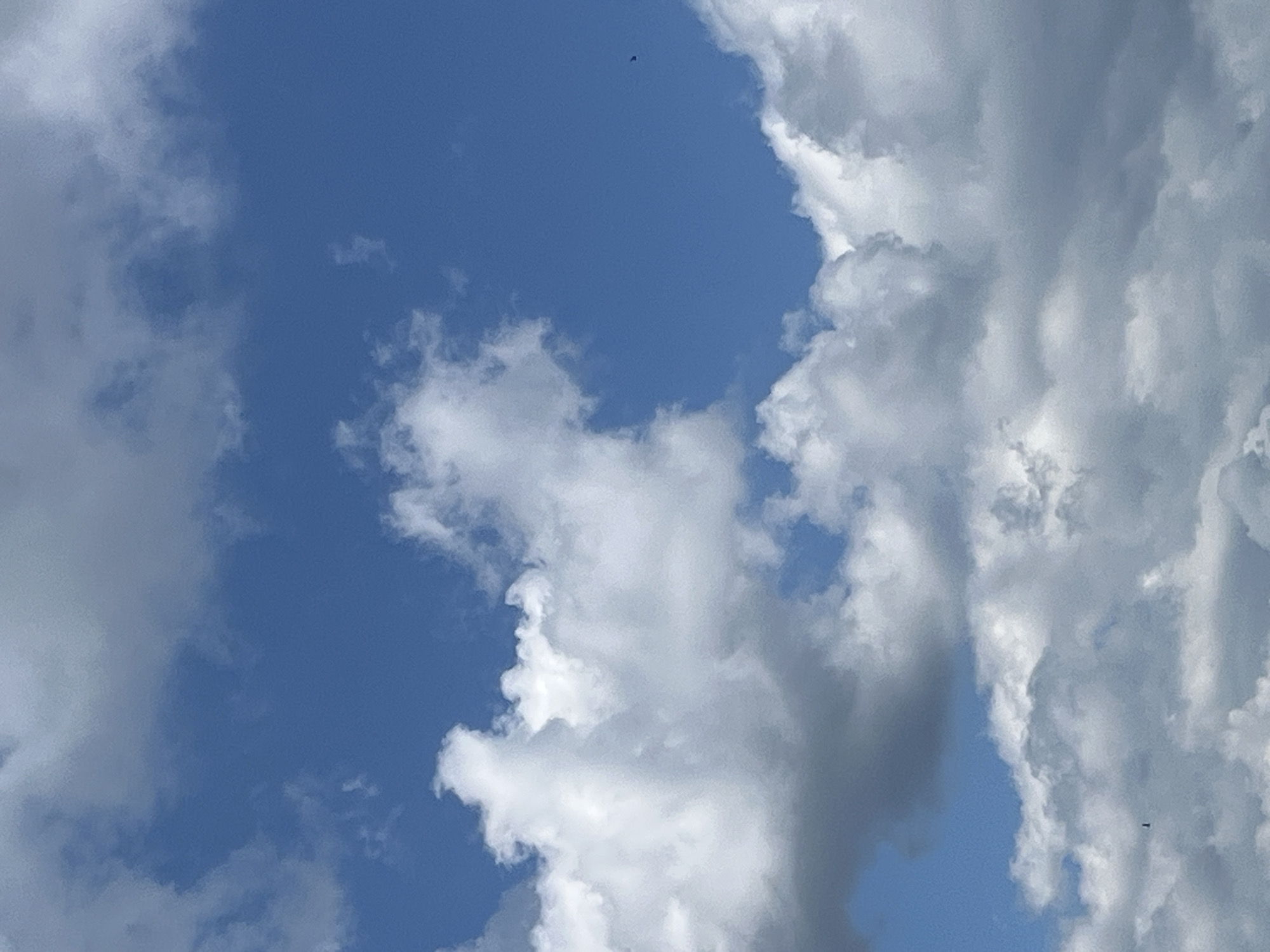 The image is a close-up, low-angle shot of a bright blue sky filled with fluffy white and grey clouds. The clouds are dense and varied in texture, with some areas appearing wispy and others more solid and shadowed. Two small, dark, silhouetted birds are visible in flight against the sky. The scene appears to be an outdoor environment on a clear, possibly windy day. There is no discernible urban landscape or specific location information within the image itself to connect it to Chelyabinsk, Russia.