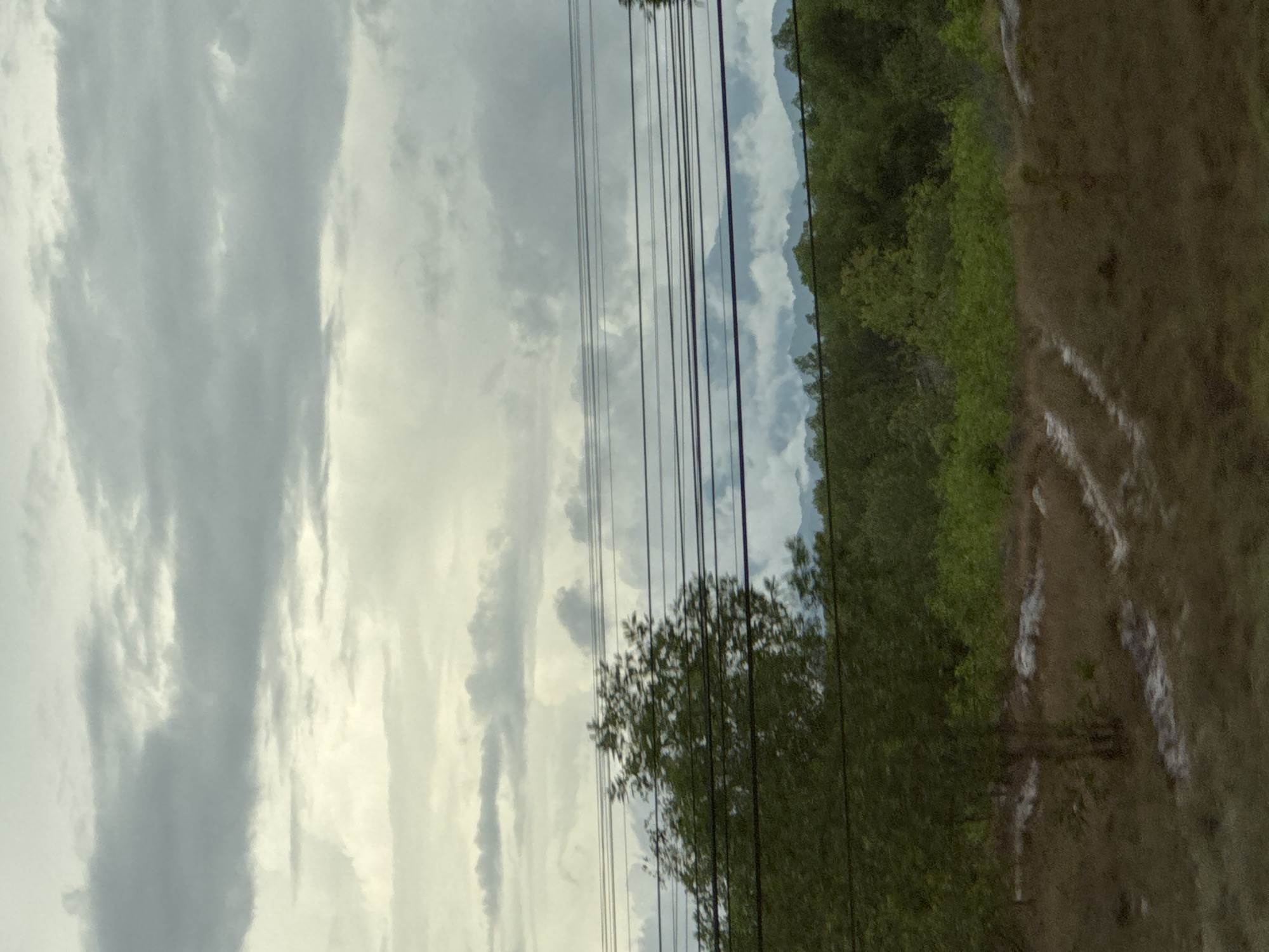The image depicts a rural landscape under a cloudy sky, likely in Diên Sanh Commune, Vietnam. In the foreground, dry, patchy brown grass and dirt ground cover are visible, with some lighter patches suggesting exposed soil or sand. A faint, light-colored dirt track or path winds through this area. A solitary, medium-sized tree with green foliage stands in the mid-ground on the left. Behind the tree, a dense line of dark green trees and vegetation forms a horizontal band across the frame. Above this vegetation line, several parallel power lines stretch horizontally across the image. In the background, layers of hazy, blue-green mountains are visible, partially obscured by the clouds and distance. The sky is filled with a variety of gray clouds, ranging from dark and heavy to lighter, more diffused formations, with some areas of brighter light suggesting diffused sunlight. The overall impression is one of a subdued, possibly overcast day in a natural or semi-natural environment. There are no people or visible animals in the image, and no discernable human activity or objects other than the power lines and the implied presence of human infrastructure.
