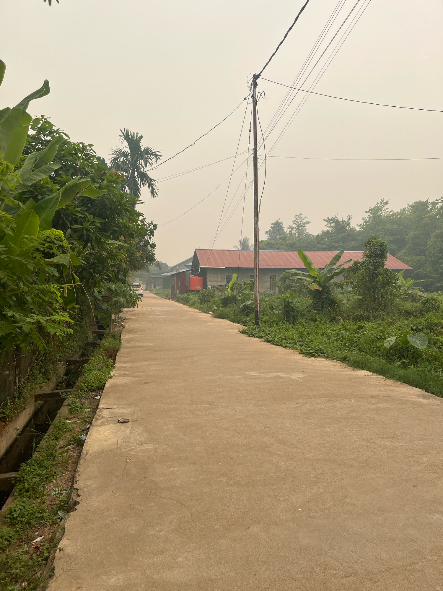 A dirt road in Meliau Hulu, Indonesia, stretches towards a cluster of buildings under a hazy sky. The road is flanked by lush green vegetation on both sides. On the left, a concrete drainage ditch runs alongside a dense foliage of banana plants and other trees. On the right, the road leads to a building with a red metal roof, surrounded by overgrown plants and trees. A utility pole with electrical wires stands beside the road, connecting to the buildings in the distance. The air appears hazy, suggesting possible atmospheric conditions such as smoke or fog. A white car is visible in the distance on the road. The scene depicts a rural or semi-rural setting with a mix of natural and man-made elements.