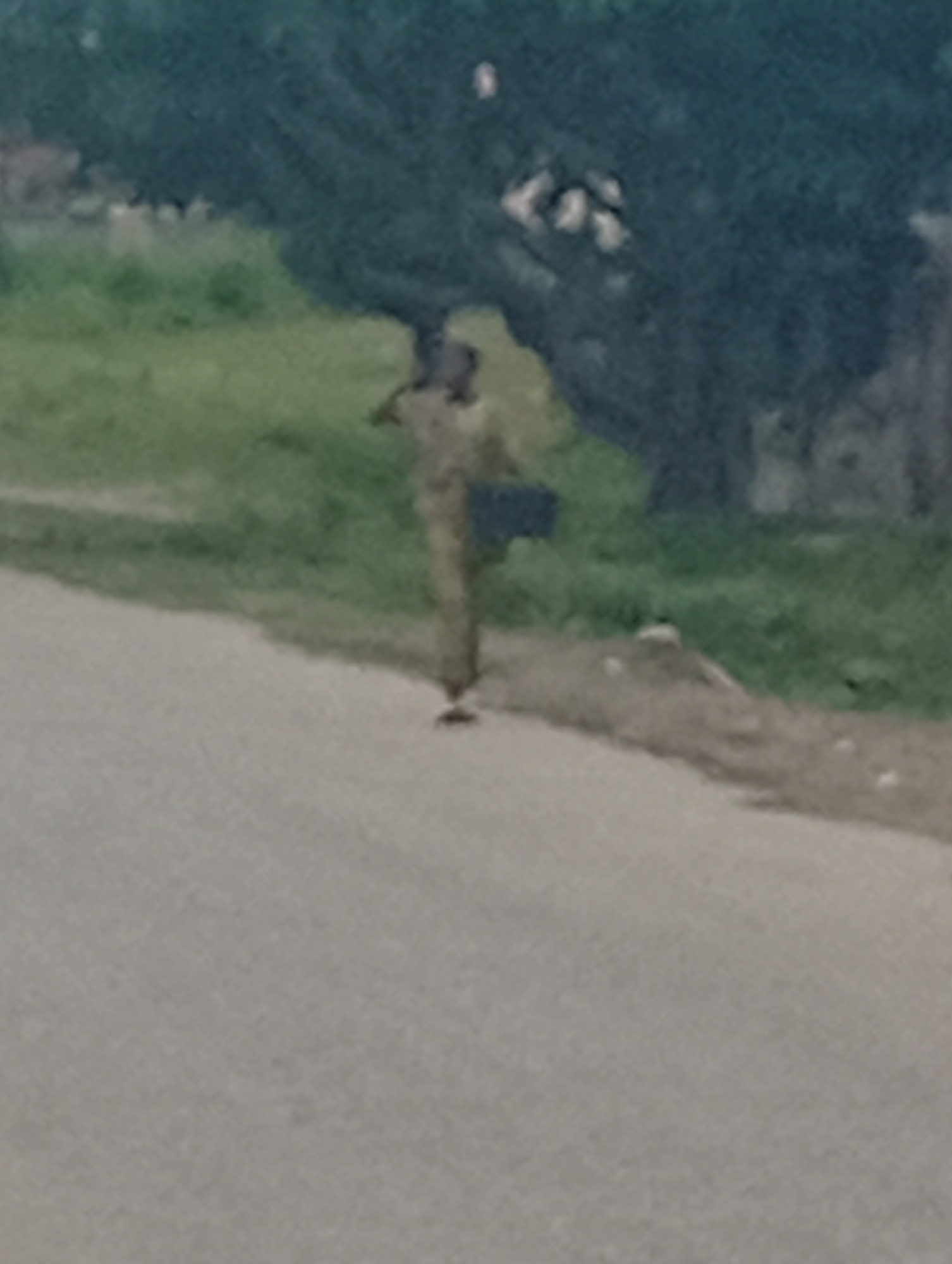 A blurry, low-resolution image depicts a person walking along a paved road in a semi-urban or rural environment. The person appears to be wearing a camouflage-patterned uniform and is carrying a dark-colored object, possibly a bag, on their shoulder. They are walking away from the camera. The background consists of green vegetation and trees. The road surface is asphalt. The lighting suggests it is daytime, though the overall quality of the image makes it difficult to ascertain specific details or the exact location. The presence of vegetation and the road surface are consistent with many locations in Nigeria, including the Adankolo area.