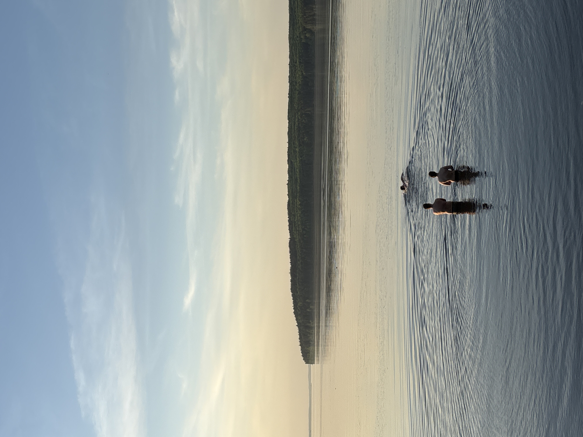 The image depicts a body of water, presumably the Kama River, near Chaikovsky, Russia. The scene shows two people swimming in the water, creating ripples. The shoreline is visible with a dense line of trees. The sky is light blue with a gradient towards a yellowish hue near the horizon. The water's surface mirrors the sky's coloration. The photograph is oriented in a portrait format.