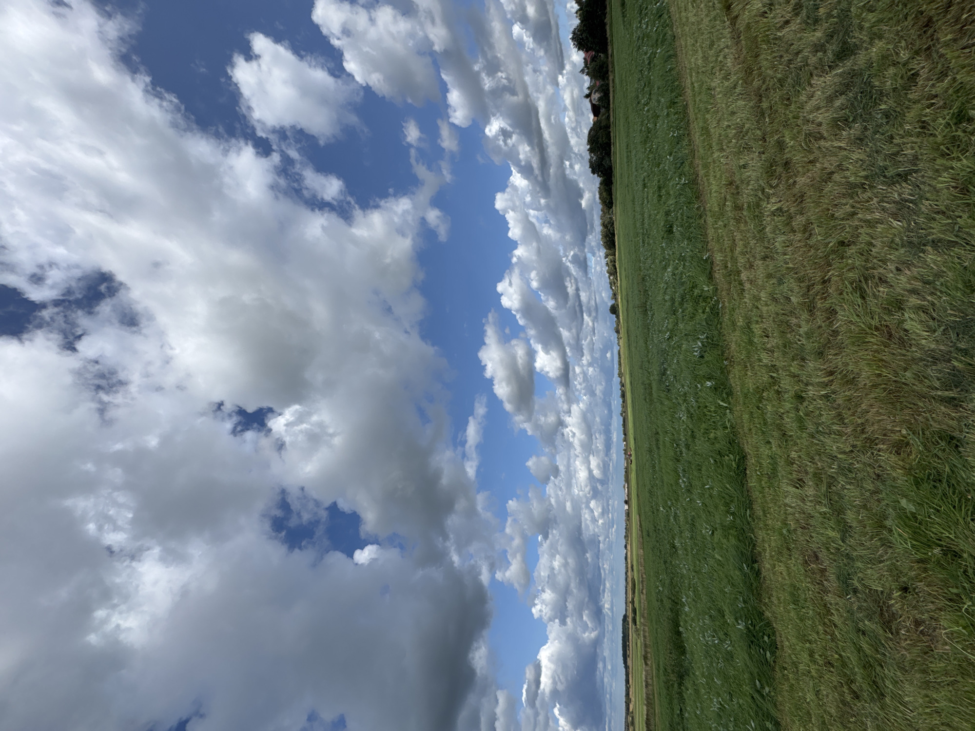 This is a vertical, eye-level, medium-shot photograph of a vast, green field under a dynamic sky with dramatic clouds. The field is lush and appears to be either tall grass or a crop, with some areas showing signs of wind disturbance, creating a rippled effect. In the distance, a faint line of trees and buildings can be seen along the horizon. A small, red agricultural vehicle is visible in the far distance, to the right of the center of the frame, suggesting agricultural activity. The sky is predominantly blue with large, fluffy, white and grey clouds, some of which are dense and shadowed, indicating depth and movement. The overall impression is one of a rural, open landscape on a cloudy day. The image's perspective suggests the viewer is standing in the field, looking outwards towards the horizon. The scene is devoid of any human figures or animals. The location is identified as Kempelevo, Russia.