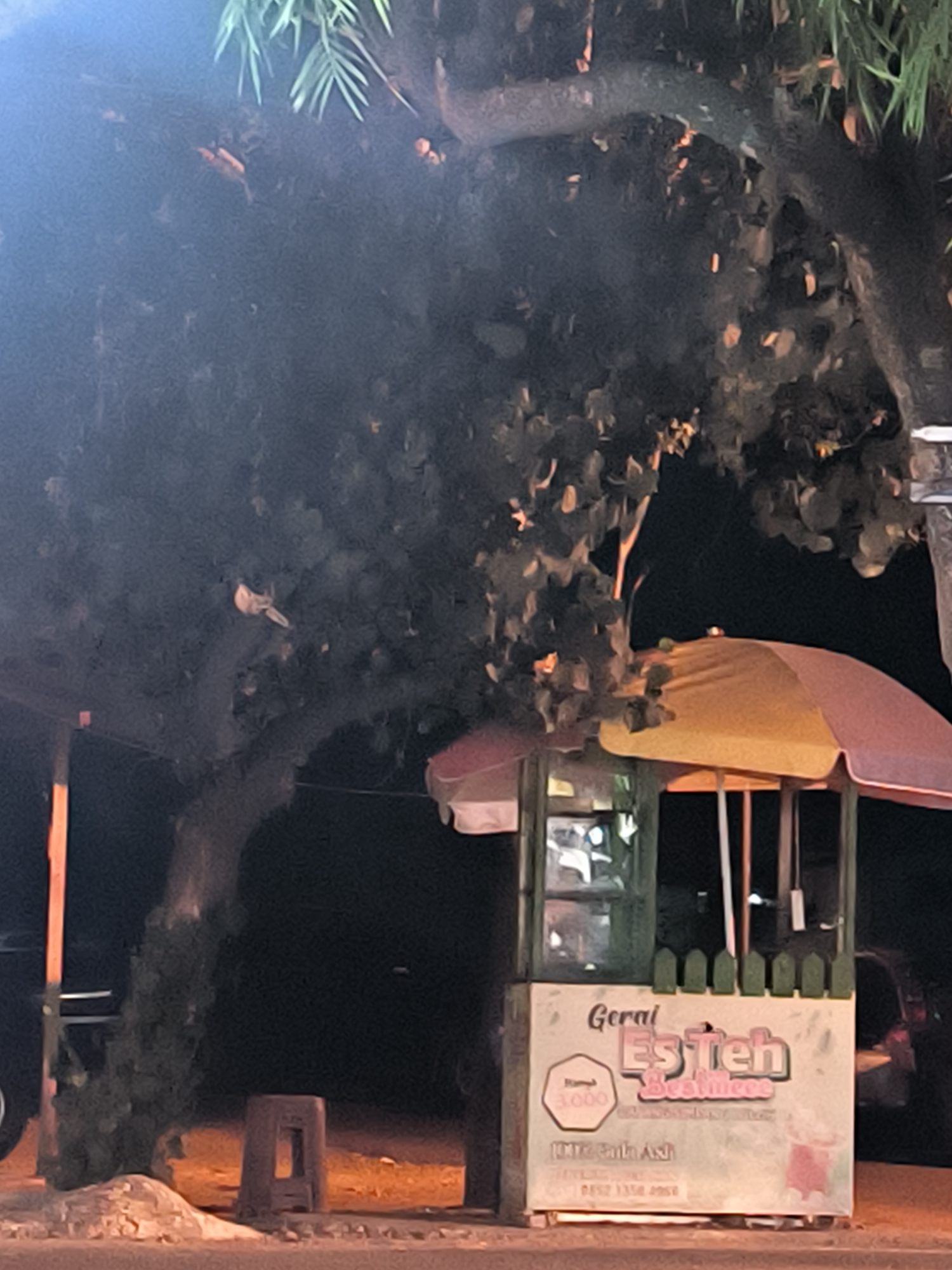The image shows a roadside food stall in Lhokseumawe, Indonesia. The stall is labeled "Gerai Es Teh Bestieee" (Bestieee Iced Tea Stall). An umbrella partially covers the stall. A small stool is positioned near the base of a large tree next to the stall. A car is visible in the background on both sides of the stall. The scene appears to be at night.
