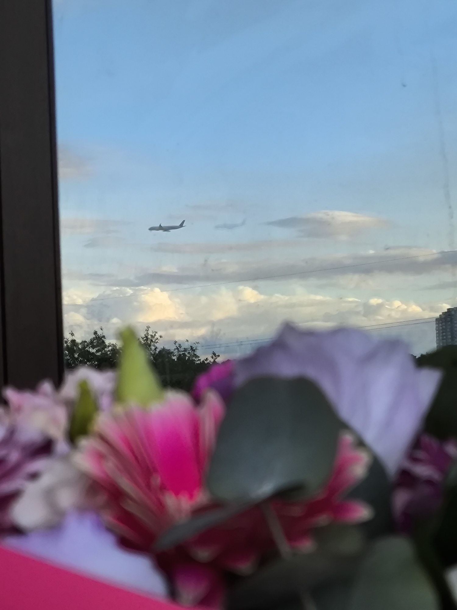 A view of a window with an airplane visible in the sky. In the foreground, there is a bouquet of flowers. Beyond the flowers, the sky is blue with white clouds and some trees and a building are visible. Unknown, Unknown.