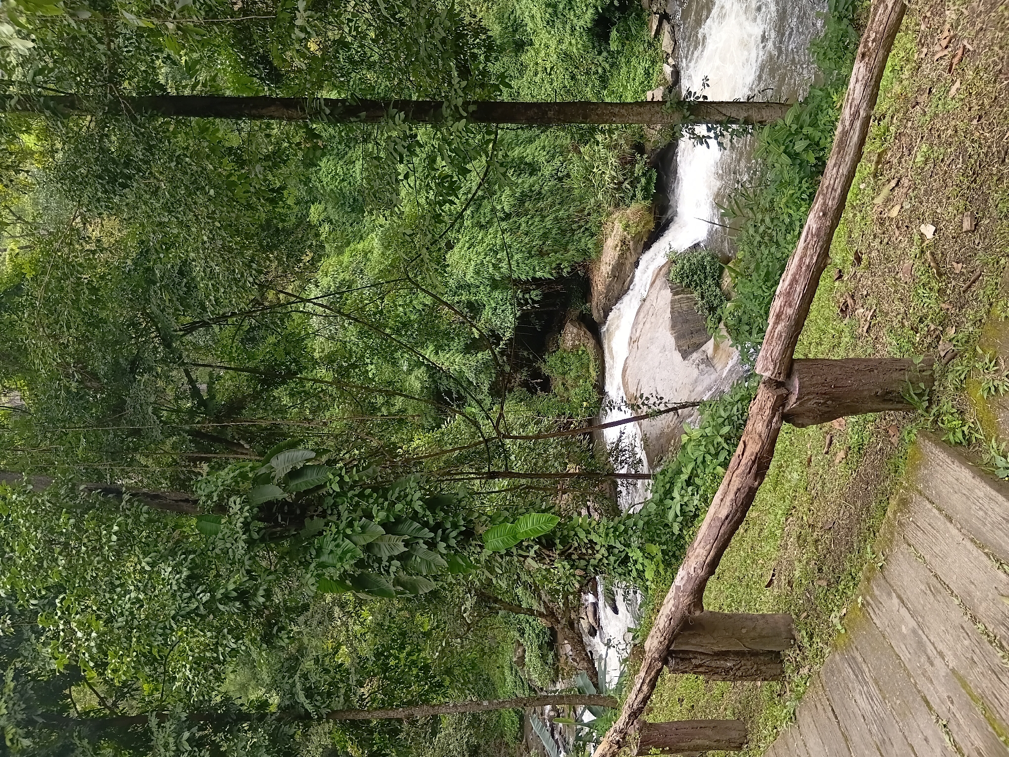 The image depicts a natural scene of a flowing river in a lush green forest. In the foreground, a rustic wooden railing made of rough-hewn logs is supported by upright wooden posts. The railing runs diagonally from the left to the right side of the frame, above a wooden pathway constructed of planks. Beyond the railing, the environment transitions to a verdant forest floor with grass and scattered leaves. A river with white, frothy water cascades over rocks and winds its way through the dense vegetation. The trees are tall and covered in leaves, creating a canopy that filters the light. Some vines are visible climbing the tree trunks. The scene appears to be in a natural, undeveloped area, possibly a park or a natural reserve. The location is specified as Ban Sop Hat, Thailand. There are no people or animals visible in the image.