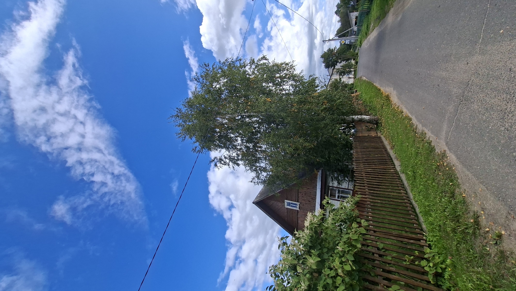 The image depicts a rural road in Myadzyel, Belarus, on a clear day with a bright blue sky and scattered white clouds. A wooden fence runs along the left side of the road, bordering a grassy area and a traditional wooden house with a brown roof. A tall birch tree with green foliage stands prominently in the foreground, partially obscuring the house. Beyond the fence and house, other buildings and trees are visible in the distance, suggesting a residential area. The road surface is asphalt and appears to be in fair condition, with some cracks visible. Power lines are strung across the sky.