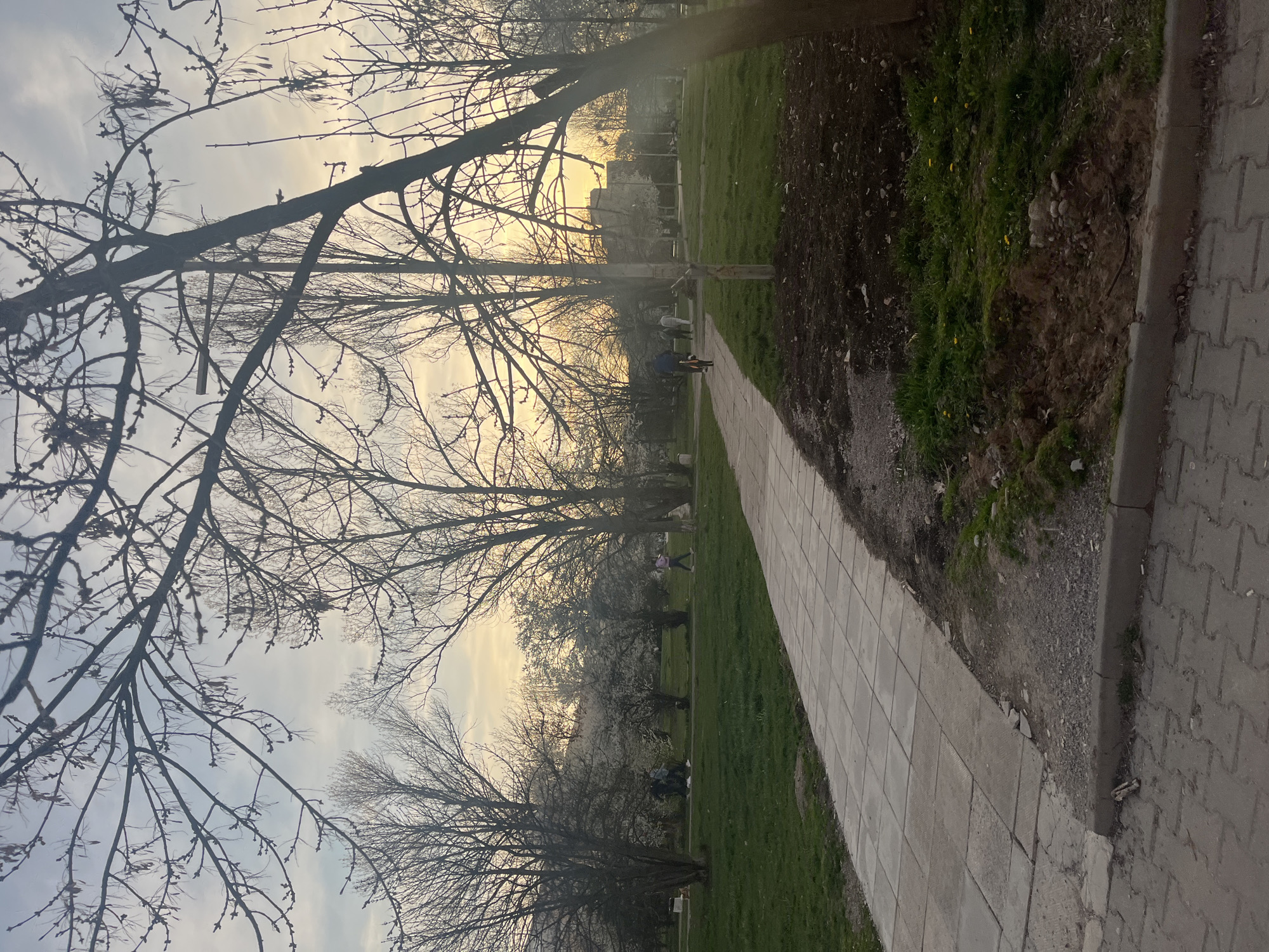 The image captures a park scene in Sofia, Bulgaria during the early spring season. Bare trees with visible buds line a paved walkway that cuts through a grassy area. The walkway is bordered by a dirt strip on one side and a paved area with a concrete curb on the other. A few people can be seen in the distance, walking along the path or in the grassy areas. The sky is overcast with a hint of sunset coloring the horizon. The overall impression is one of a quiet urban park setting transitioning from winter to spring.